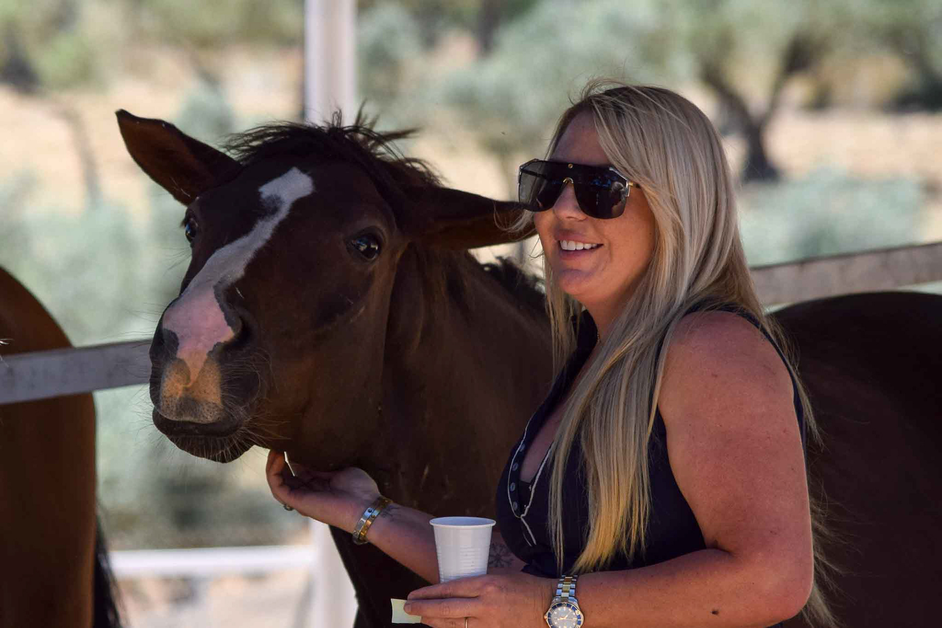 New Dressage Center in Andalusia