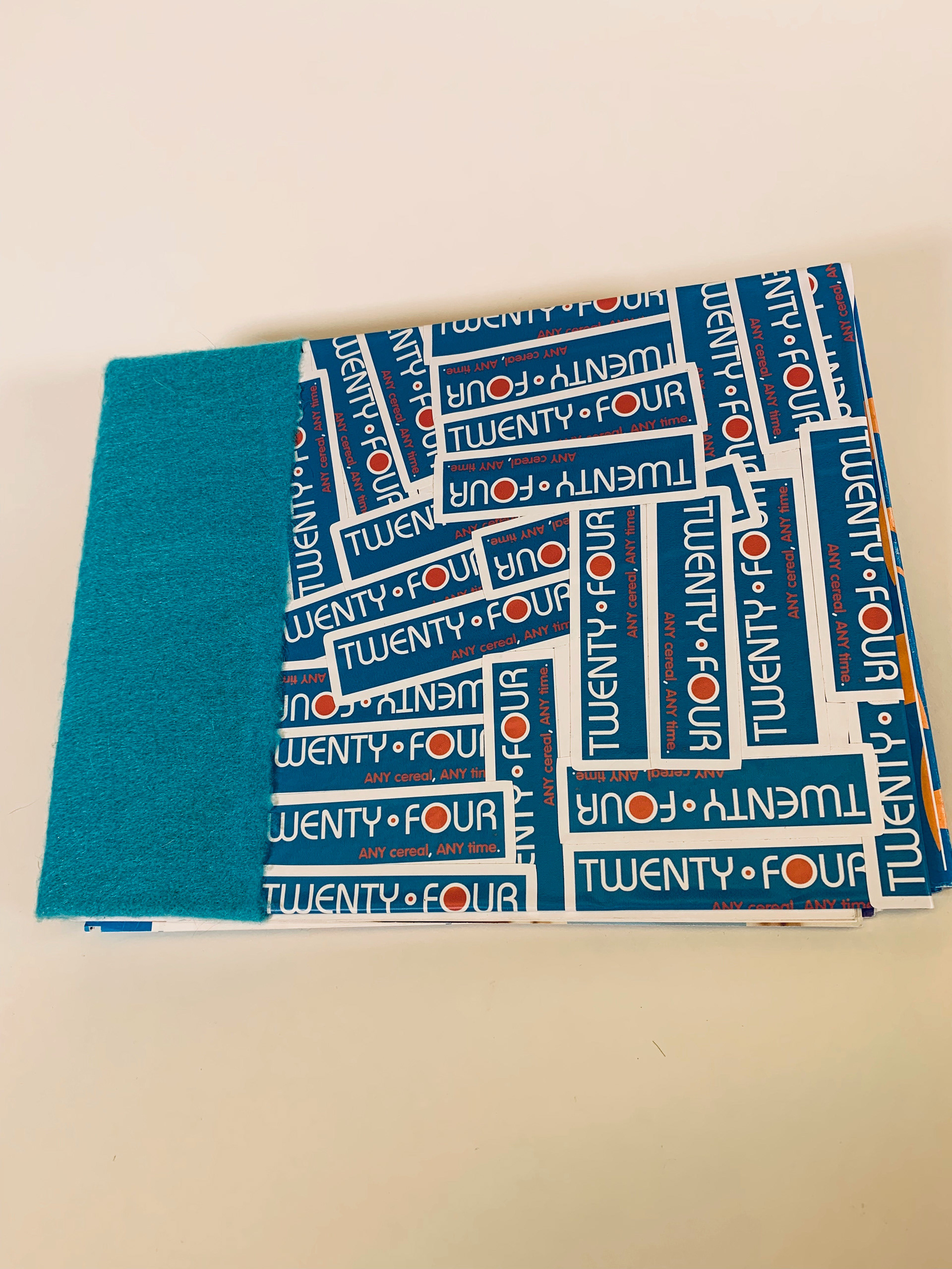 Cover of Manual