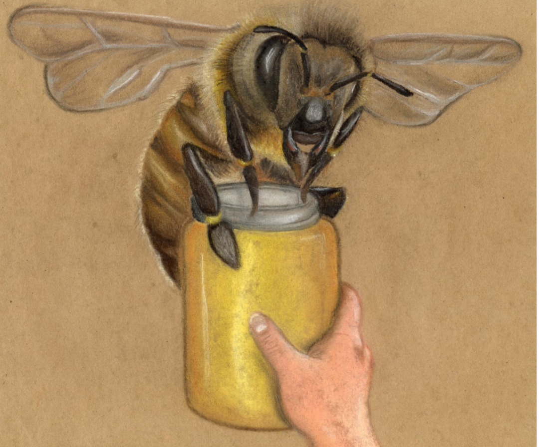 Honey Bee - Chalk Pastels