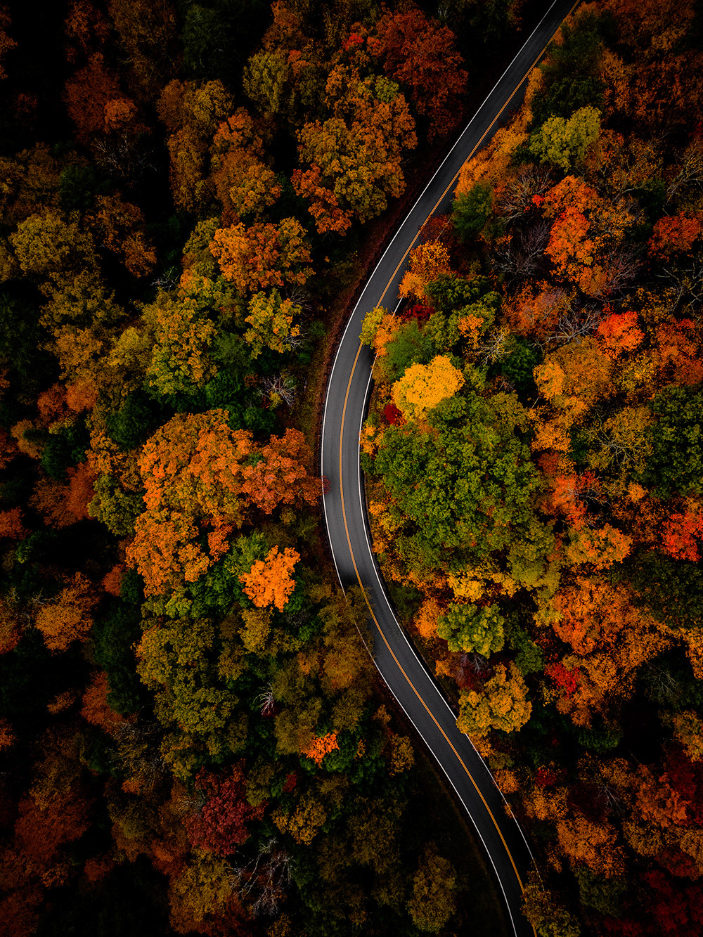 Fall in Hocking, 2023