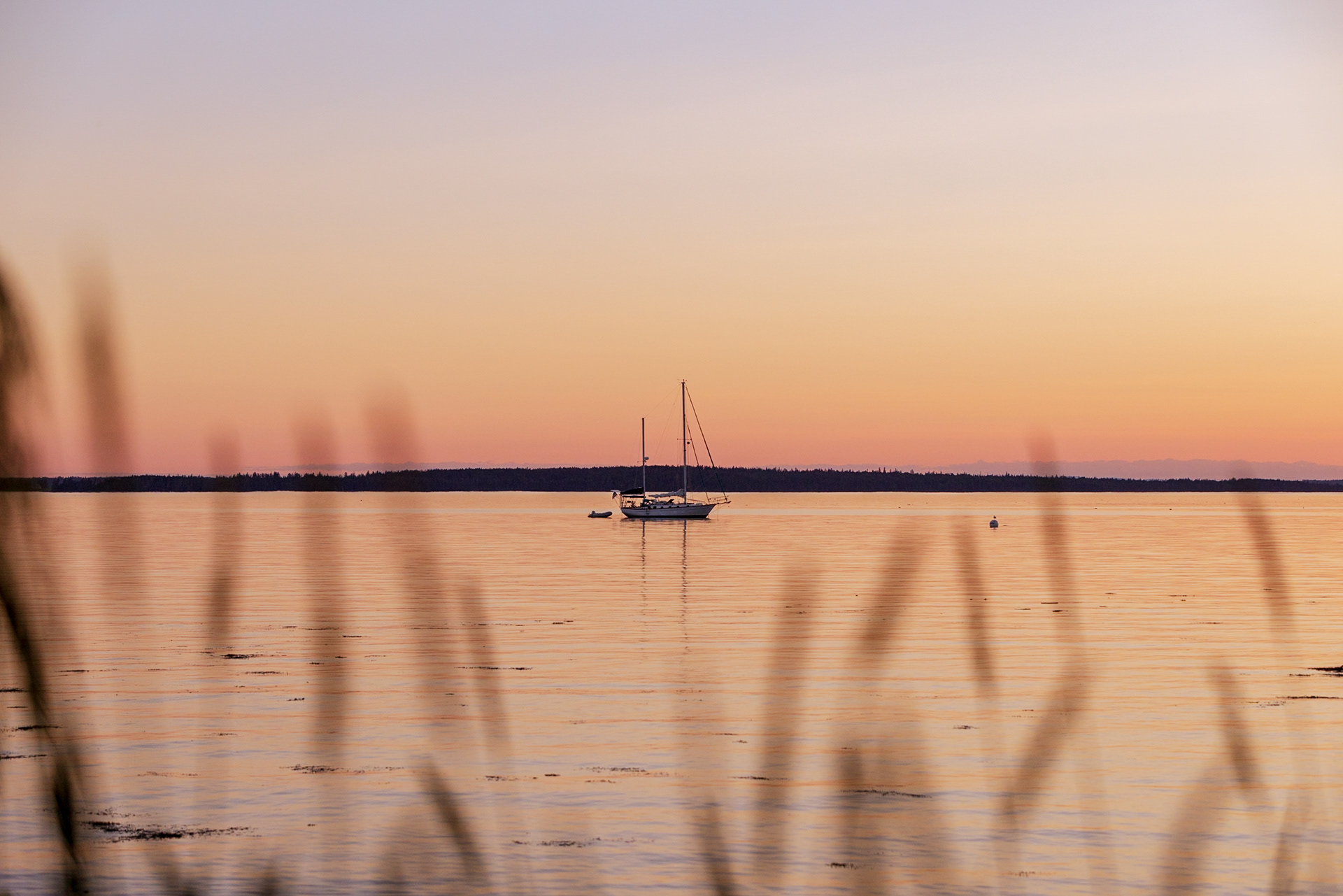 A Lone Sailboat, 2024