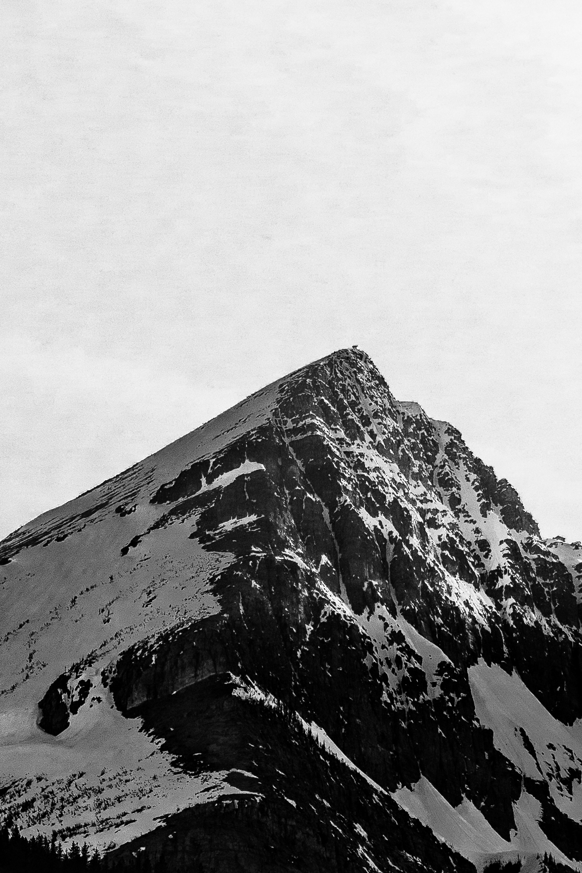 Rough Mountains, 2021