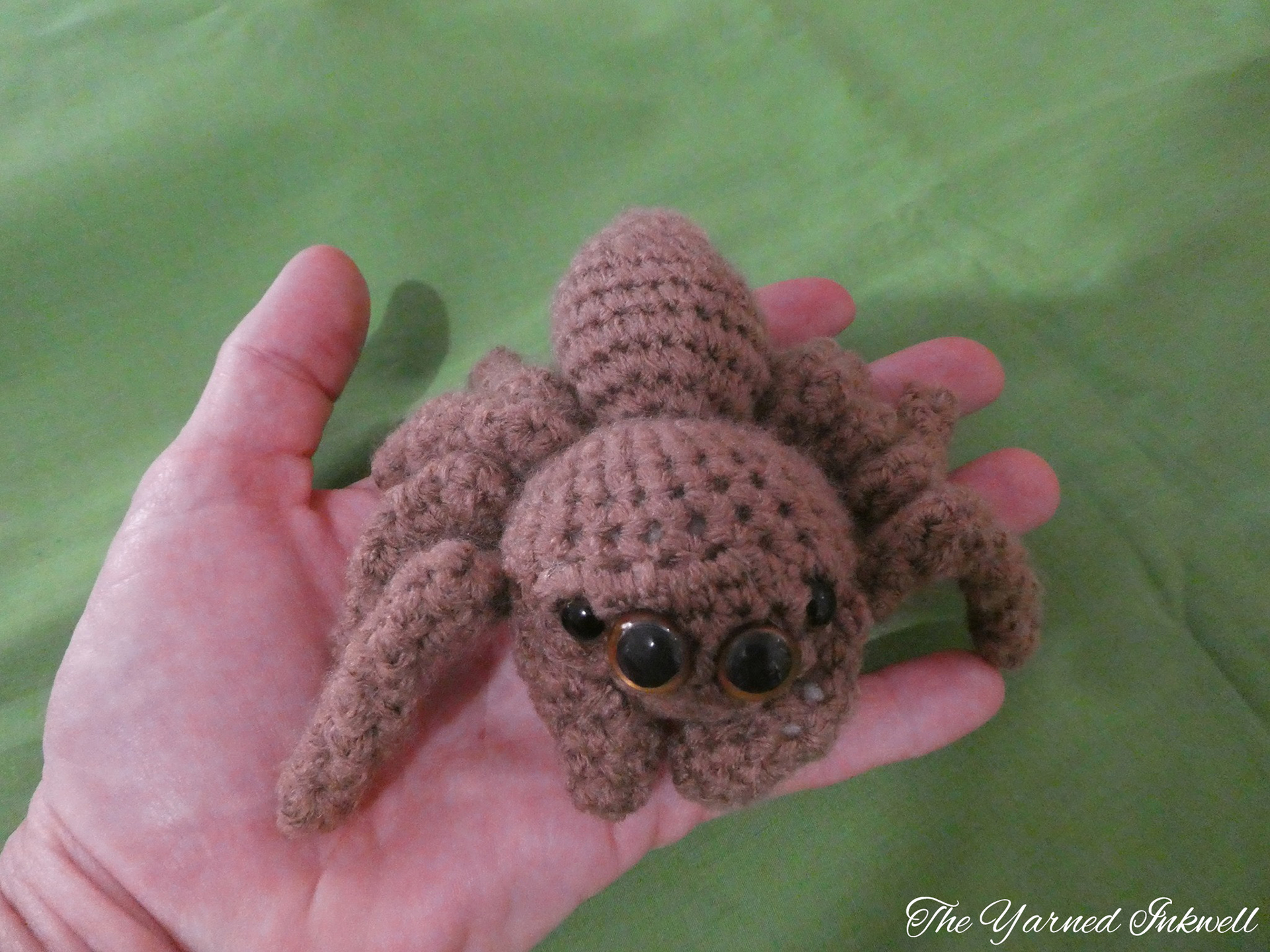 Female Jumping Spider