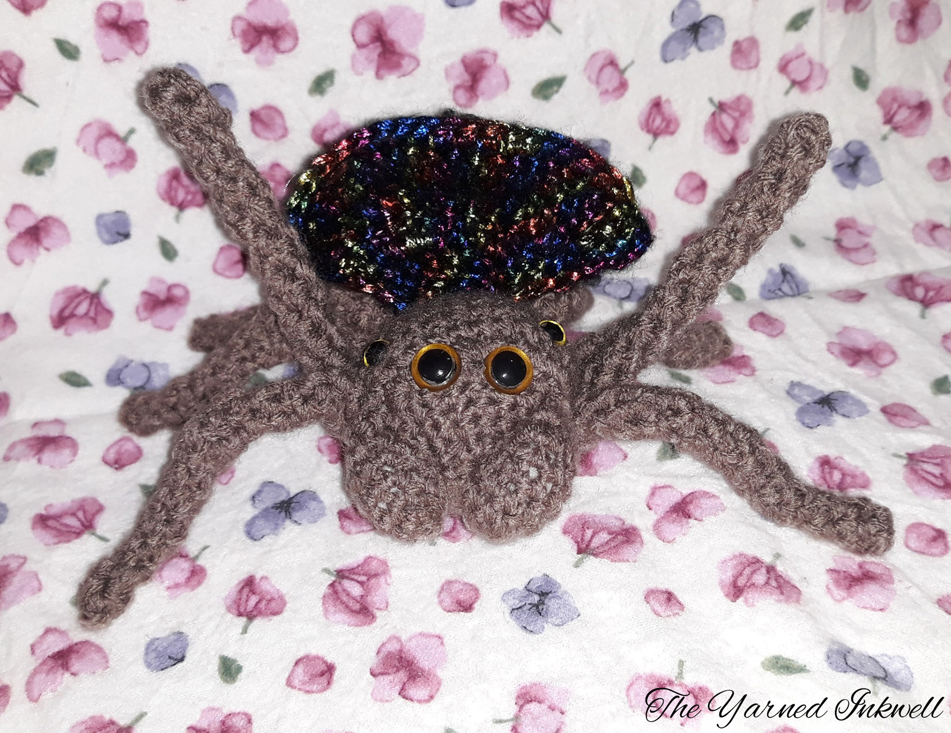 Male Peacock Jumping Spider