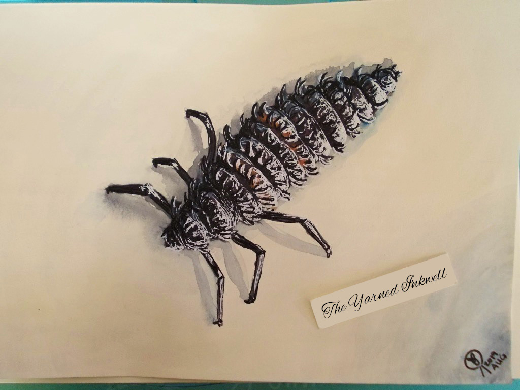 Ladybird Larvae Sketch