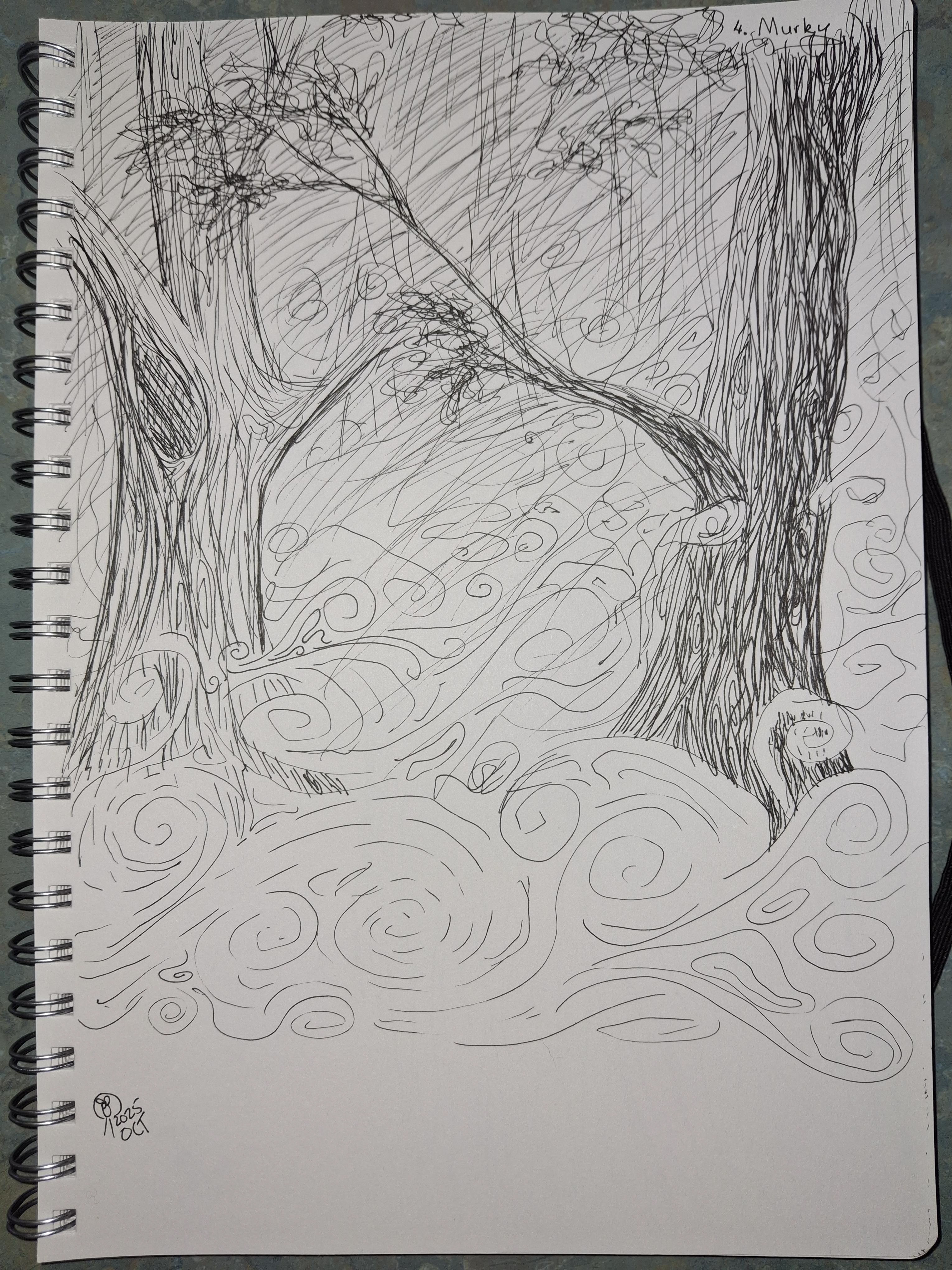 'Murky' a foggy forest