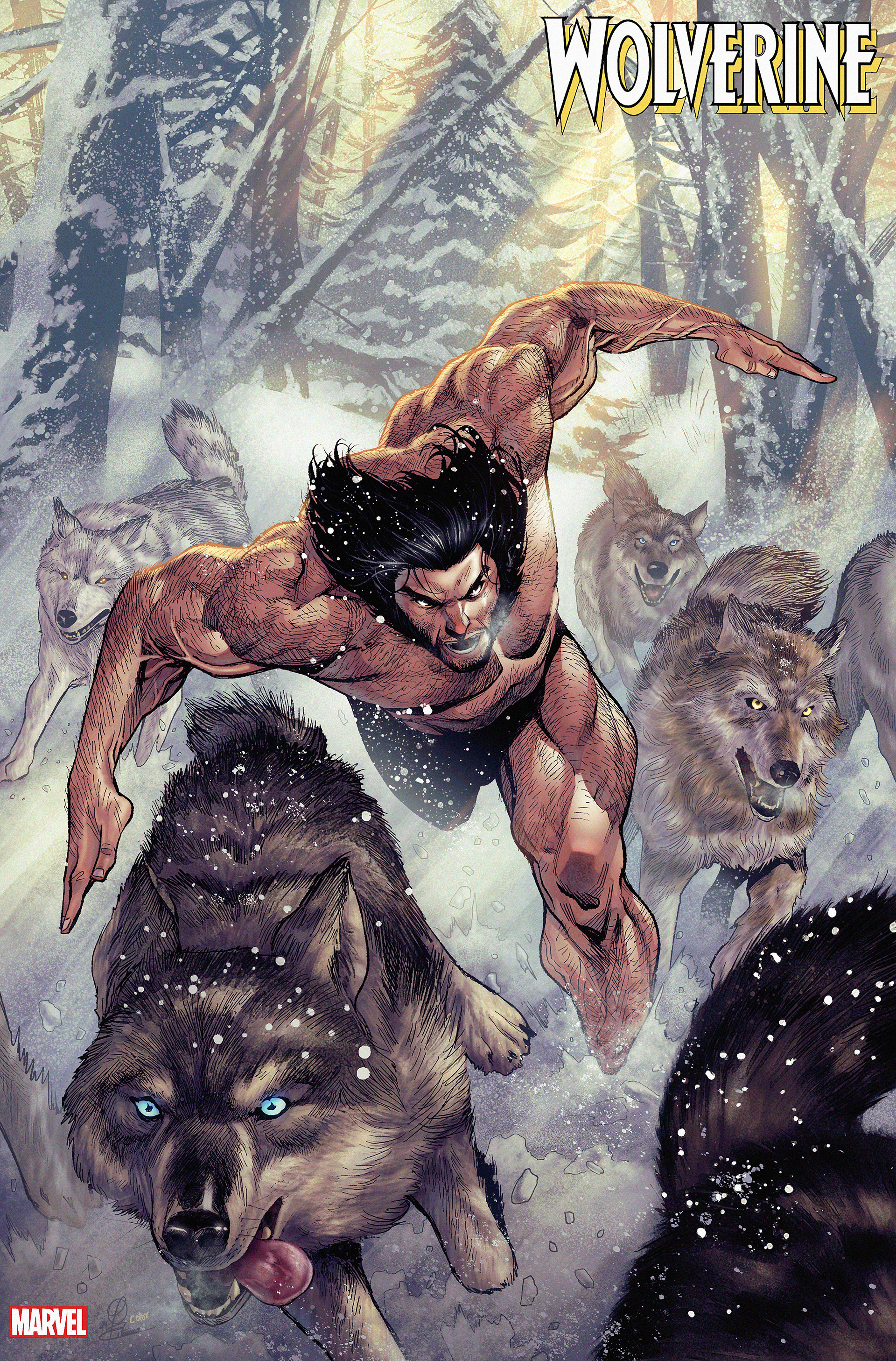 Art by Martin Coccolo, Colors by me