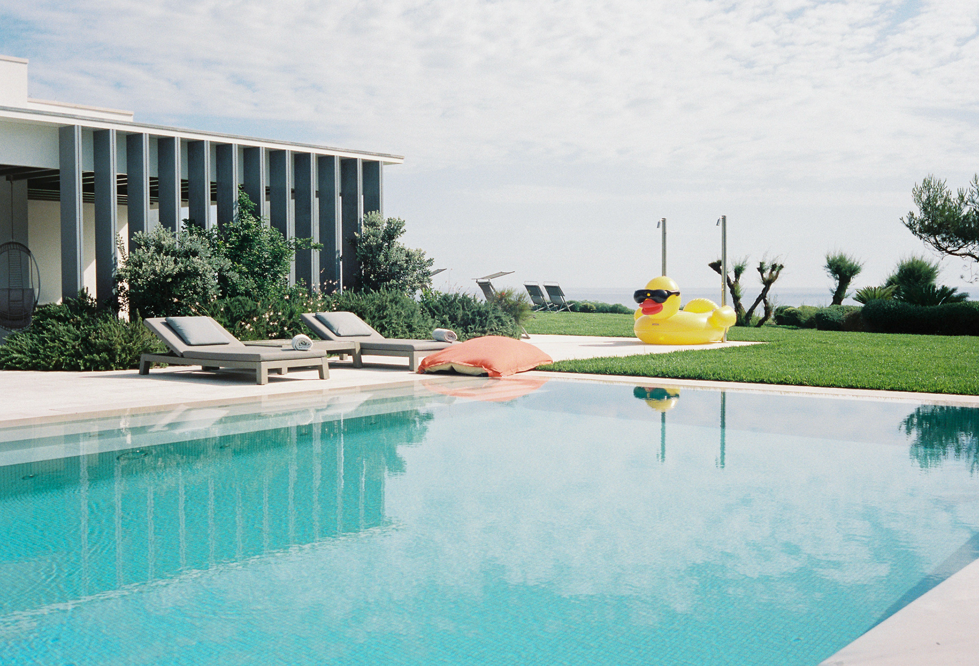 Poolside Duck