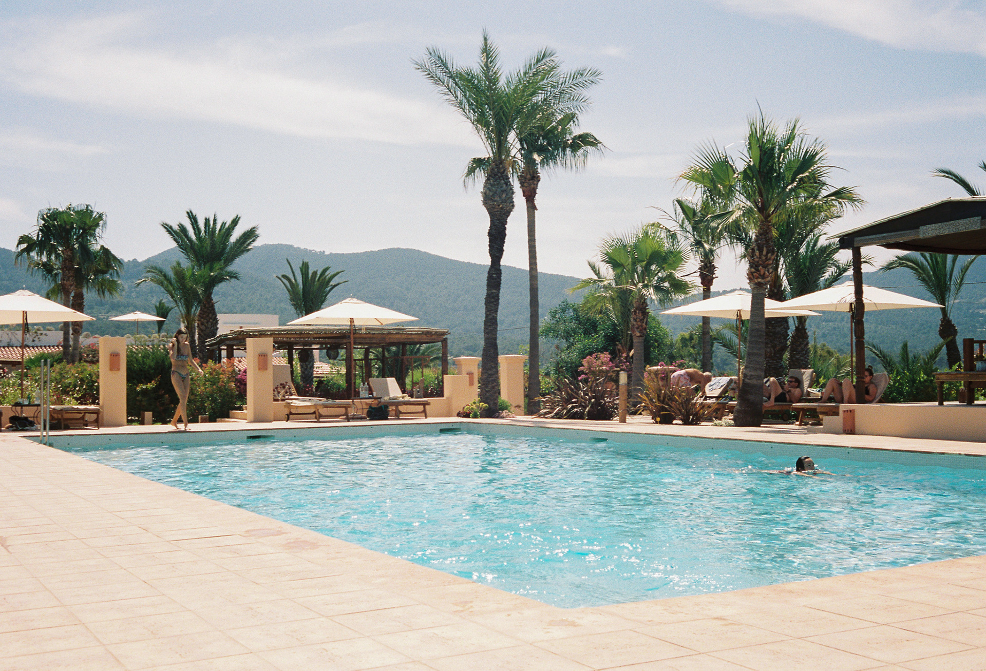 Taking a Dip at Hotel Petunia