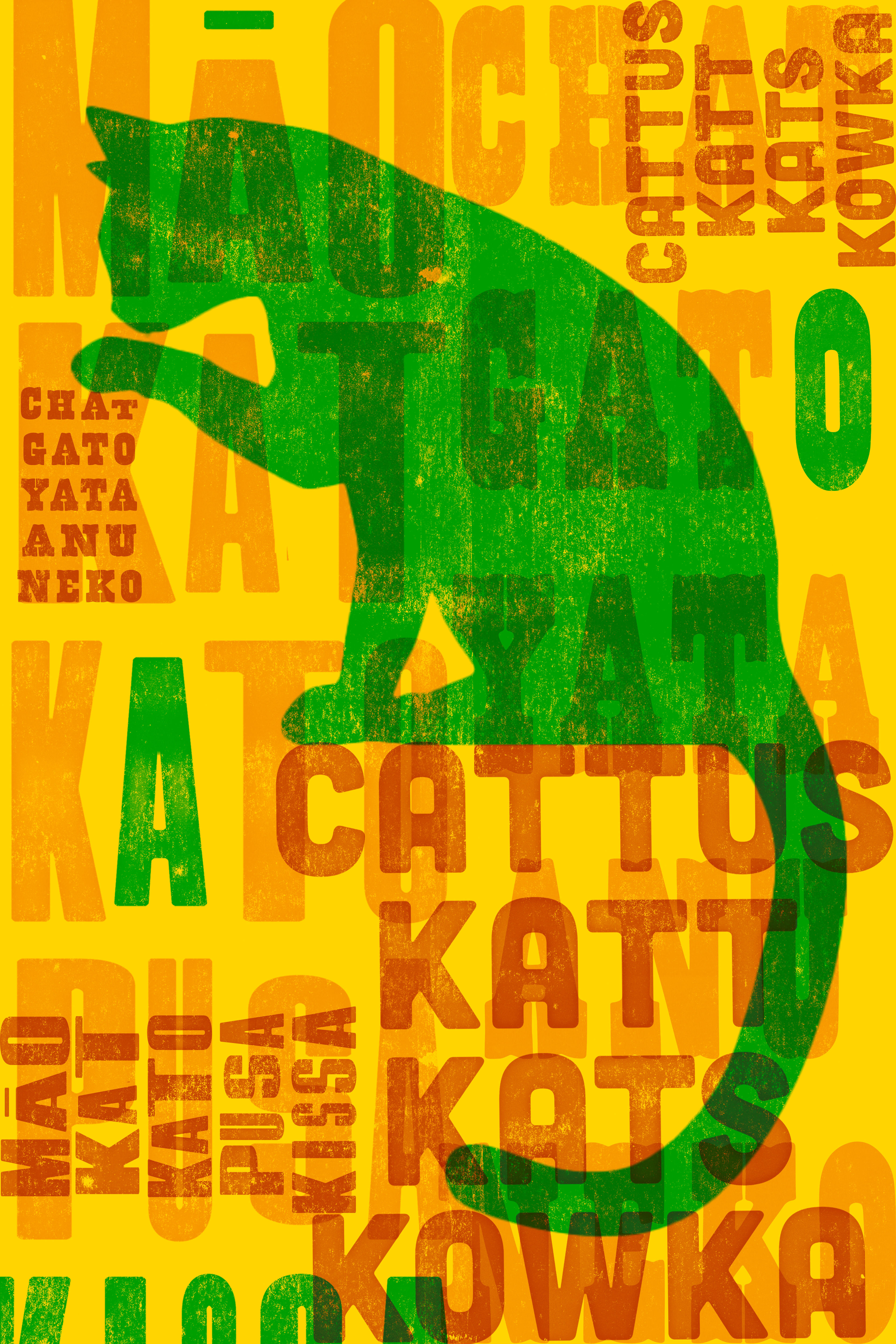 The word cat in several different languages.