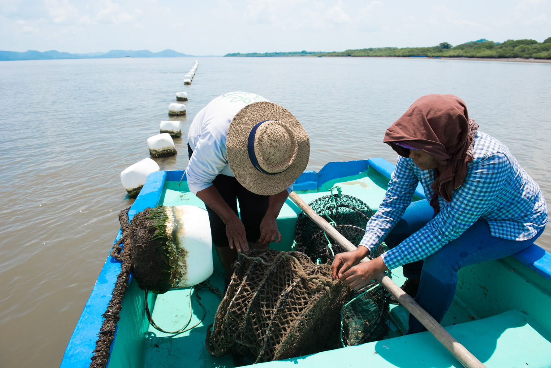 24-junio-2017. Este miércoles 24 de junio visitamos la zona de Puerto Palito en Costa Pajaros, Puntarenas. Desde los años 80, Doña Siday Arias, en conjunto con la Universidad Nacional, han dedicado tiempo para evaluar las posibilidades del cultivo de las Ostras en el Golfo de Nicoya. Hoy día cuentan con 6 granjas. En Puerto Palito, nos encontramos con un grupo de trabajadores que se encargaban cada uno de su tarea: limpieza, selección de Ostras por tamaño, llevar nuevamente al mar, a las que no cumplían con el tamaño mínimo para la comercialización (6cm), entre otras labores. Fotos: Nina Cordero. En la Fotografía: Eugenia Fernandez (desombrero crema) sacaba una de las Linternas para verificar el tamaño de las Ostras y saber si estaban listas, junto a Lorena Sequeira (camisa de cuadros)