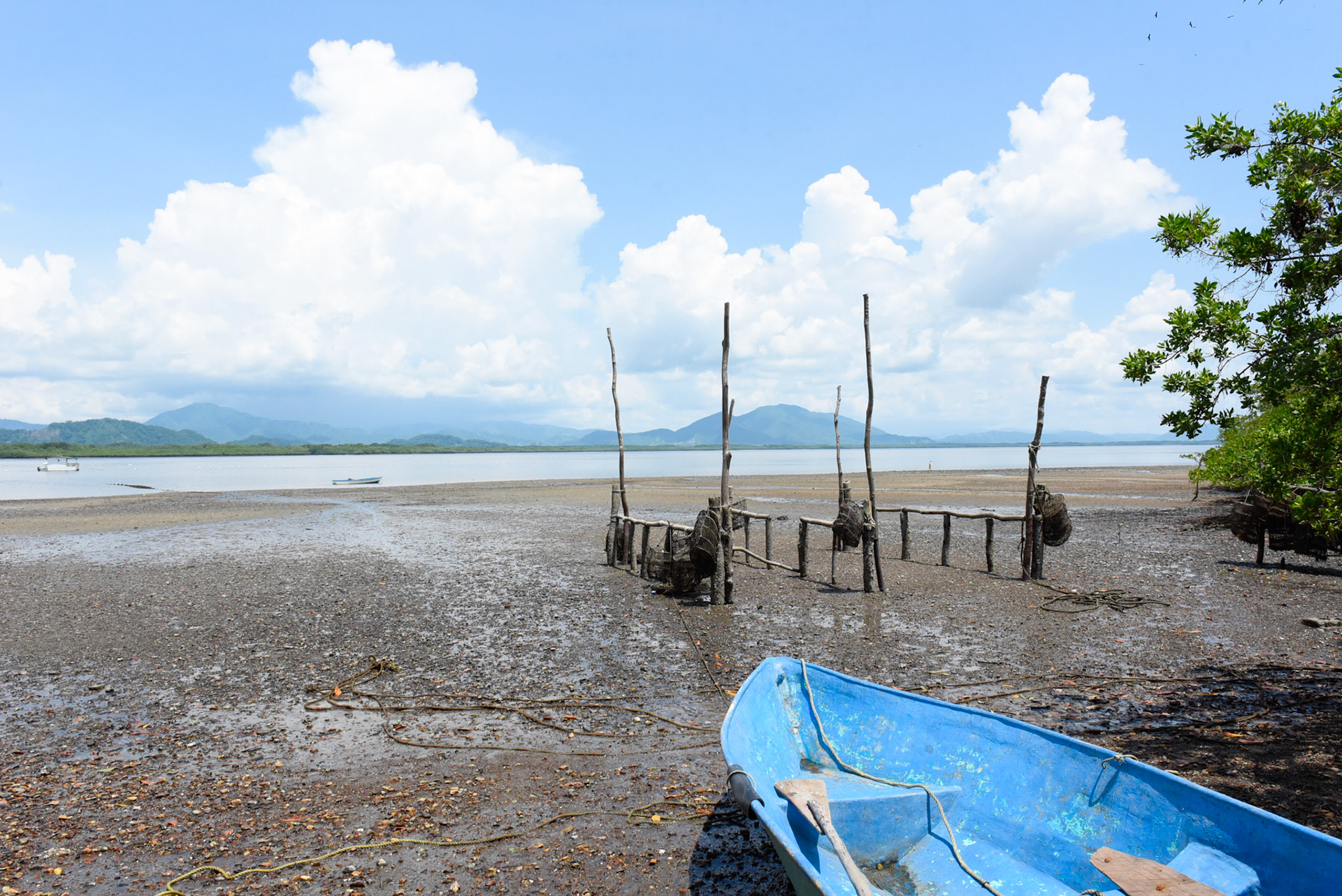 24-junio-2017. Este miércoles 24 de junio visitamos la zona de Puerto Palito en Costa Pajaros, Puntarenas. Desde los años 80, Doña Siday Arias, en conjunto con la Universidad Nacional, han dedicado tiempo para evaluar las posibilidades del cultivo de las Ostras en el Golfo de Nicoya. Hoy día cuentan con 6 granjas. En Puerto Palito, nos encontramos con un grupo de trabajadores que se encargaban cada uno de su tarea: limpieza, selección de Ostras por tamaño, llevar nuevamente al mar, a las que no cumplían con el tamaño mínimo para la comercialización (6cm), entre otras labores. Fotos: Nina Cordero. En la Fotografía: Vista de Puerto Palito