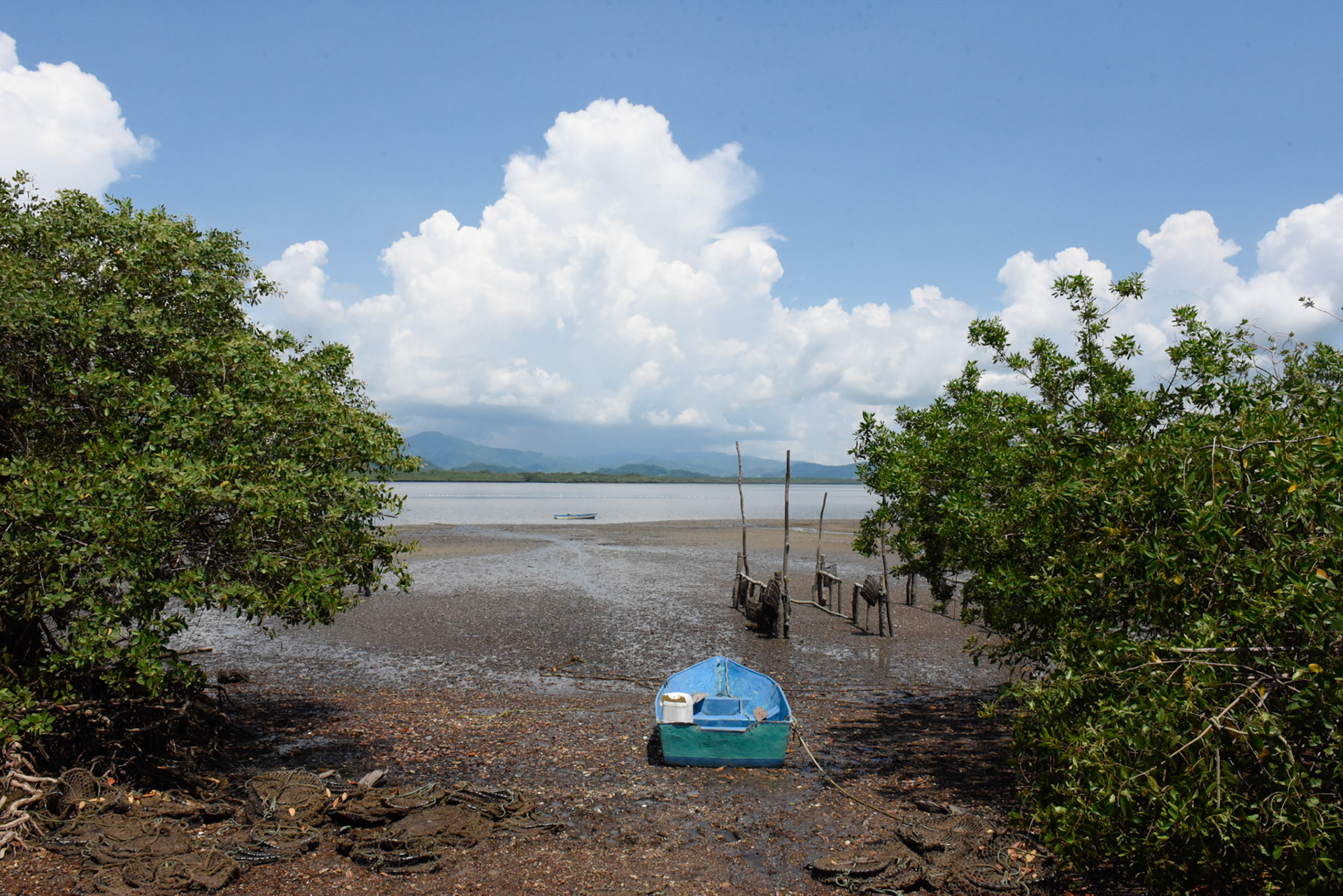 24-junio-2017. Este miércoles 24 de junio visitamos la zona de Puerto Palito en Costa Pajaros, Puntarenas. Desde los años 80, Doña Siday Arias, en conjunto con la Universidad Nacional, han dedicado tiempo para evaluar las posibilidades del cultivo de las Ostras en el Golfo de Nicoya. Hoy día cuentan con 6 granjas. En Puerto Palito, nos encontramos con un grupo de trabajadores que se encargaban cada uno de su tarea: limpieza, selección de Ostras por tamaño, llevar nuevamente al mar, a las que no cumplían con el tamaño mínimo para la comercialización (6cm), entre otras labores. Fotos: Nina Cordero. En la Fotografía: Una vista de  Puerto Palito.