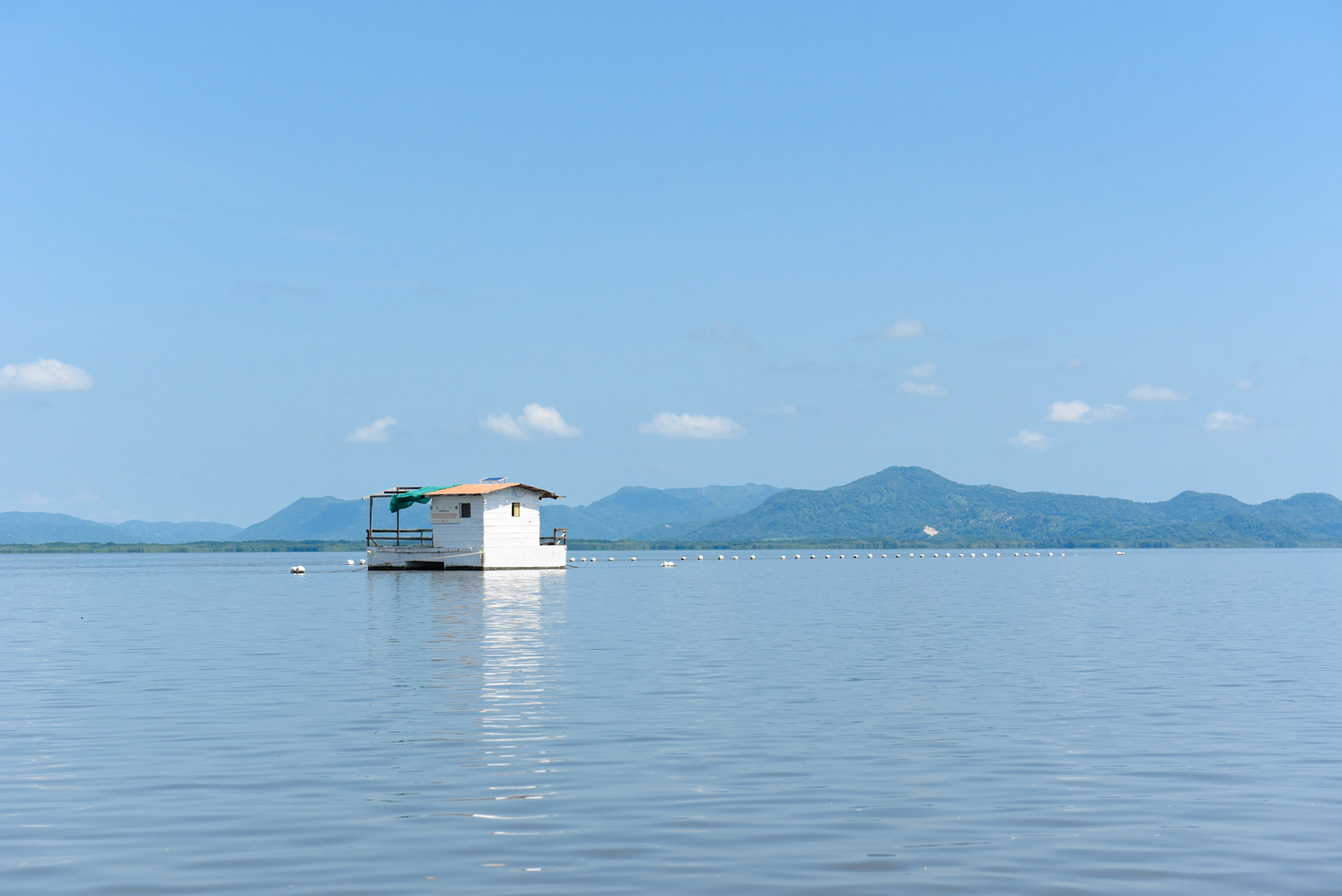24-junio-2017. Este miércoles 24 de junio visitamos la zona de Puerto Palito en Costa Pajaros, Puntarenas. Desde los años 80, Doña Siday Arias, en conjunto con la Universidad Nacional, han dedicado tiempo para evaluar las posibilidades del cultivo de las Ostras en el Golfo de Nicoya. Hoy día cuentan con 6 granjas. En Puerto Palito, nos encontramos con un grupo de trabajadores que se encargaban cada uno de su tarea: limpieza, selección de Ostras por tamaño, llevar nuevamente al mar, a las que no cumplían con el tamaño mínimo para la comercialización (6cm), entre otras labores. Fotos: Nina Cordero. En la Fotografía: Una vista panorámica de la granja de Ostras de Puerto Palito.