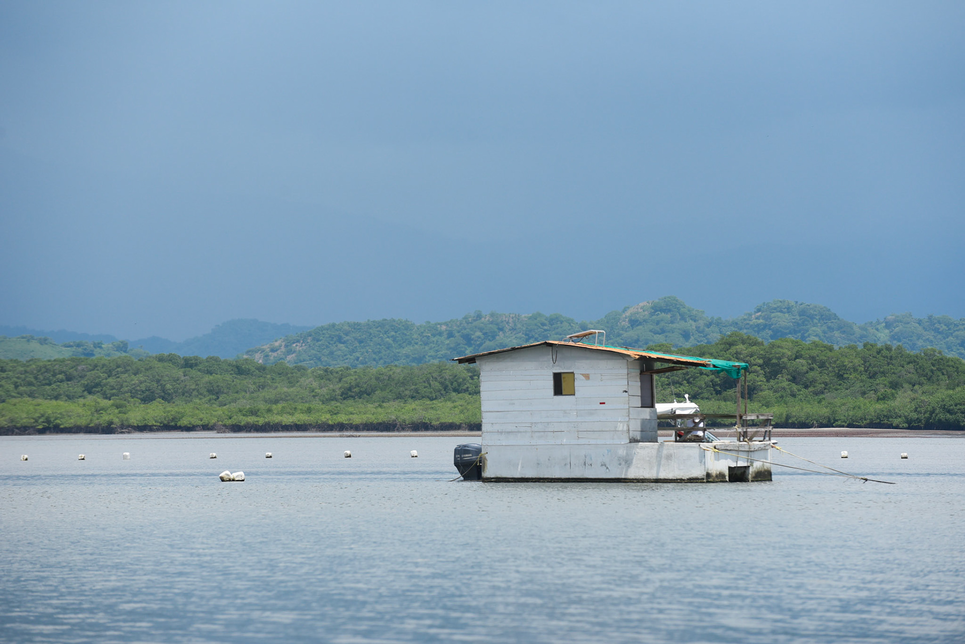 24-junio-2017. Este miércoles 24 de junio visitamos la zona de Puerto Palito en Costa Pajaros, Puntarenas. Desde los años 80, Doña Siday Arias, en conjunto con la Universidad Nacional, han dedicado tiempo para evaluar las posibilidades del cultivo de las Ostras en el Golfo de Nicoya. Hoy día cuentan con 6 granjas. En Puerto Palito, nos encontramos con un grupo de trabajadores que se encargaban cada uno de su tarea: limpieza, selección de Ostras por tamaño, llevar nuevamente al mar, a las que no cumplían con el tamaño mínimo para la comercialización (6cm), entre otras labores. Fotos: Nina Cordero. En la Fotografía: Una vista de la granja de Ostras de Puerto Palito 