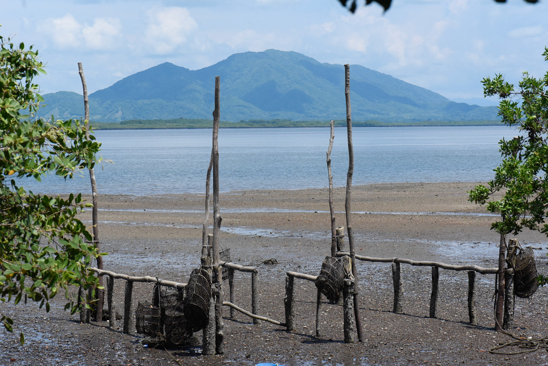 24-junio-2017. Este miércoles 24 de junio visitamos la zona de Puerto Palito en Costa Pajaros, Puntarenas. Desde los años 80, Doña Siday Arias, en conjunto con la Universidad Nacional, han dedicado tiempo para evaluar las posibilidades del cultivo de las Ostras en el Golfo de Nicoya. Hoy día cuentan con 6 granjas. En Puerto Palito, nos encontramos con un grupo de trabajadores que se encargaban cada uno de su tarea: limpieza, selección de Ostras por tamaño, llevar nuevamente al mar, a las que no cumplían con el tamaño mínimo para la comercialización (6cm), entre otras labores. Fotos: Nina Cordero. En la Fotografía: Una Vista de Puerto Palito