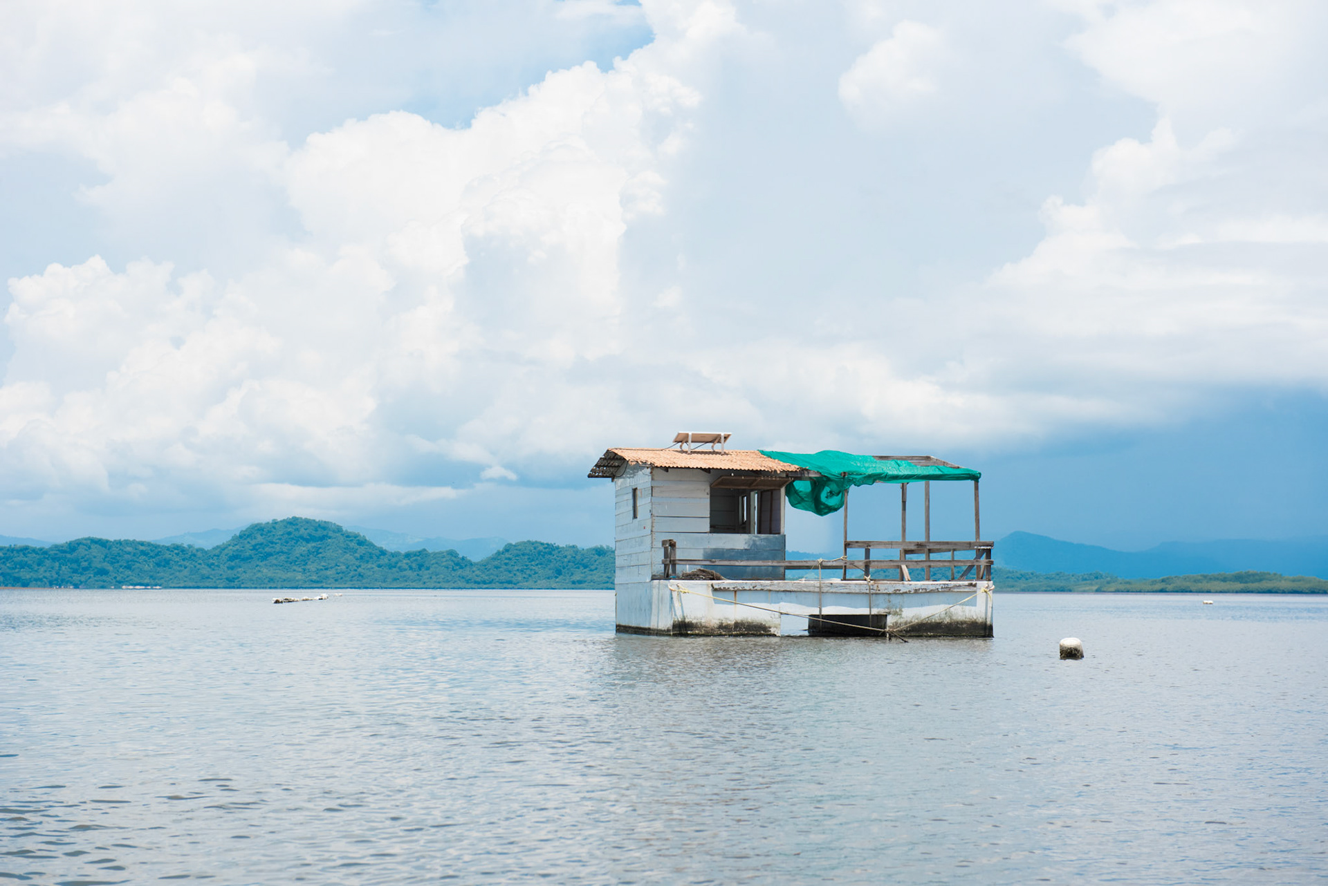 24-junio-2017. Este miércoles 24 de junio visitamos la zona de Puerto Palito en Costa Pajaros, Puntarenas. Desde los años 80, Doña Siday Arias, en conjunto con la Universidad Nacional, han dedicado tiempo para evaluar las posibilidades del cultivo de las Ostras en el Golfo de Nicoya. Hoy día cuentan con 6 granjas. En Puerto Palito, nos encontramos con un grupo de trabajadores que se encargaban cada uno de su tarea: limpieza, selección de Ostras por tamaño, llevar nuevamente al mar, a las que no cumplían con el tamaño mínimo para la comercialización (6cm), entre otras labores. Fotos: Nina Cordero. En la Fotografía: Granja de Ostras de Puerto Palito
