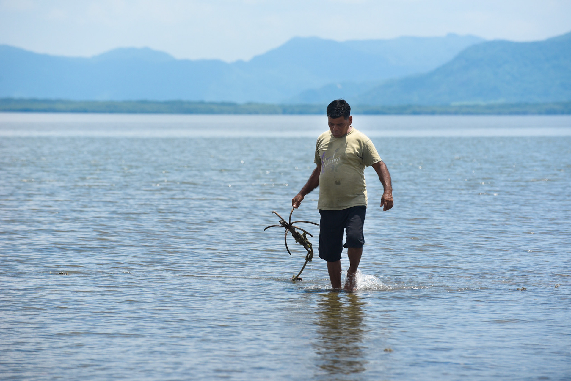 24-junio-2017. Este miércoles 24 de junio visitamos la zona de Puerto Palito en Costa Pajaros, Puntarenas. Desde los años 80, Doña Siday Arias, en conjunto con la Universidad Nacional, han dedicado tiempo para evaluar las posibilidades del cultivo de las Ostras en el Golfo de Nicoya. Hoy día cuentan con 6 granjas. En Puerto Palito, nos encontramos con un grupo de trabajadores que se encargaban cada uno de su tarea: limpieza, selección de Ostras por tamaño, llevar nuevamente al mar, a las que no cumplían con el tamaño mínimo para la comercialización (6cm), entre otras labores. Fotos: Nina Cordero. En la Fotografía: Gregorio Matarrita se preparaba para ingresar al Mar a devolver las Ostras que no cumplían con los 6mm para la comercialización.