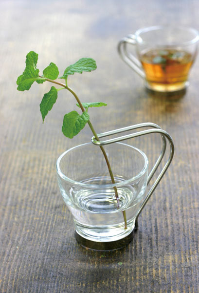 フラワーベース（花器、雑貨、日用品、ステーショナリー）の製品デザイン。プロダクトデザイン：ツジムラデザインスタジオ