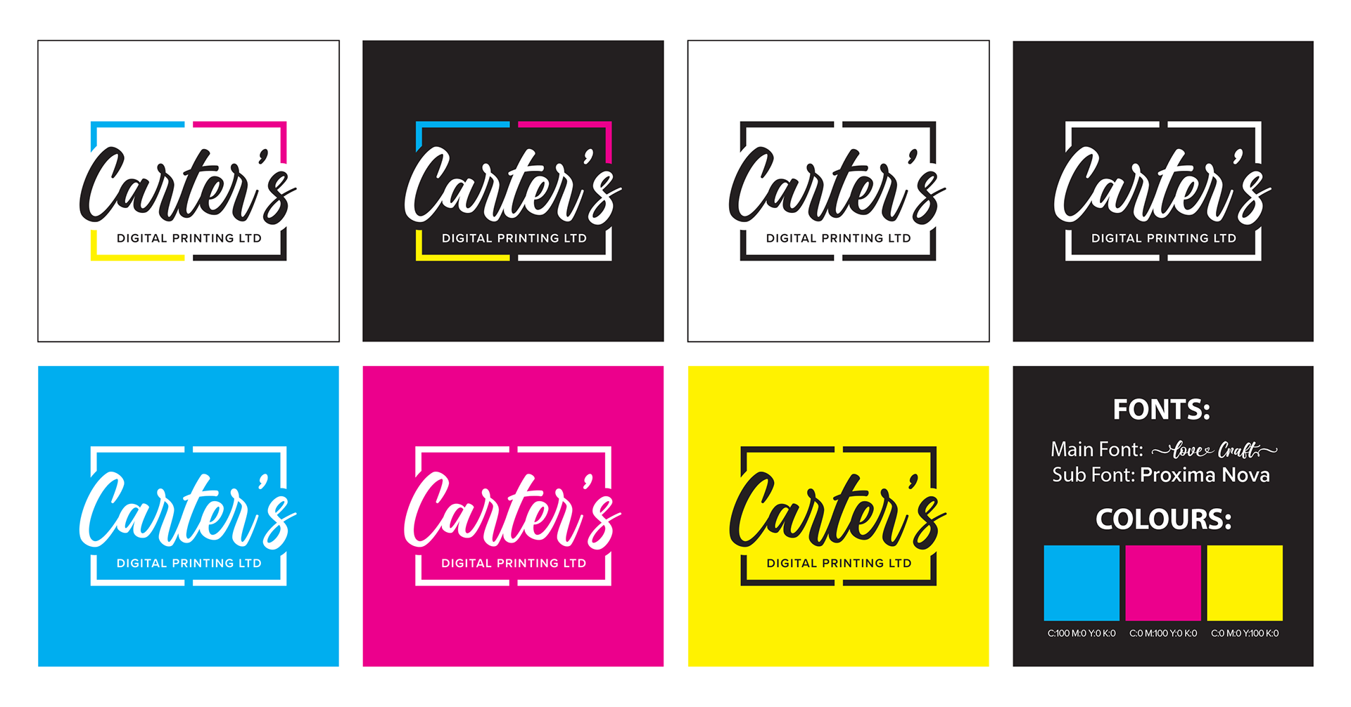 Logo Options + Fonts and Branding Colours