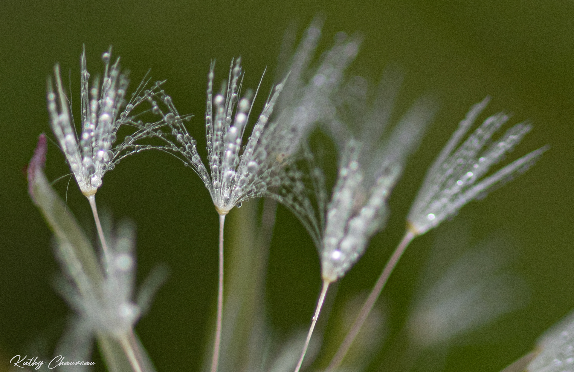 2024 05 Gouttes d'eau