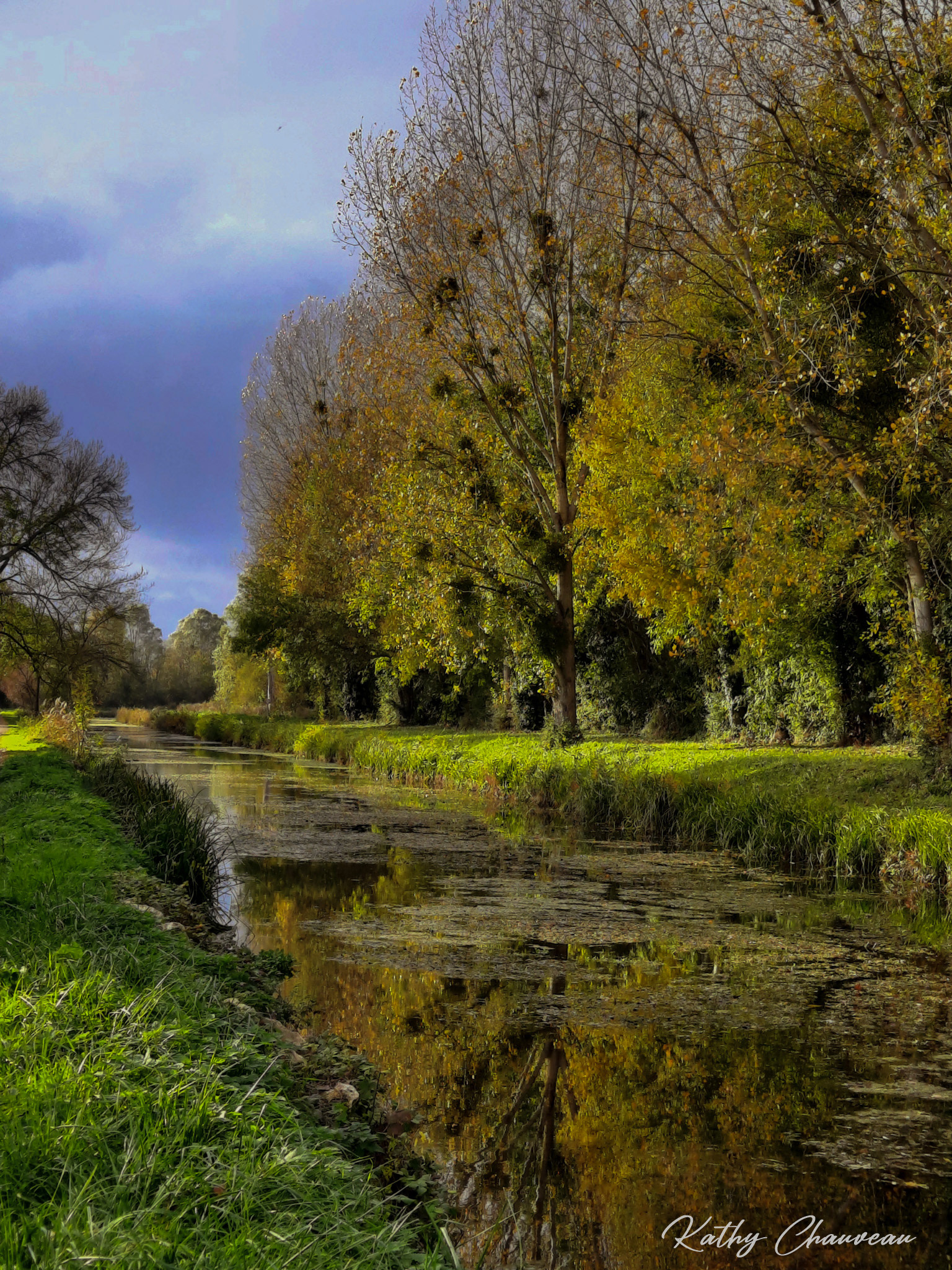 Canal de Berry (Prado)