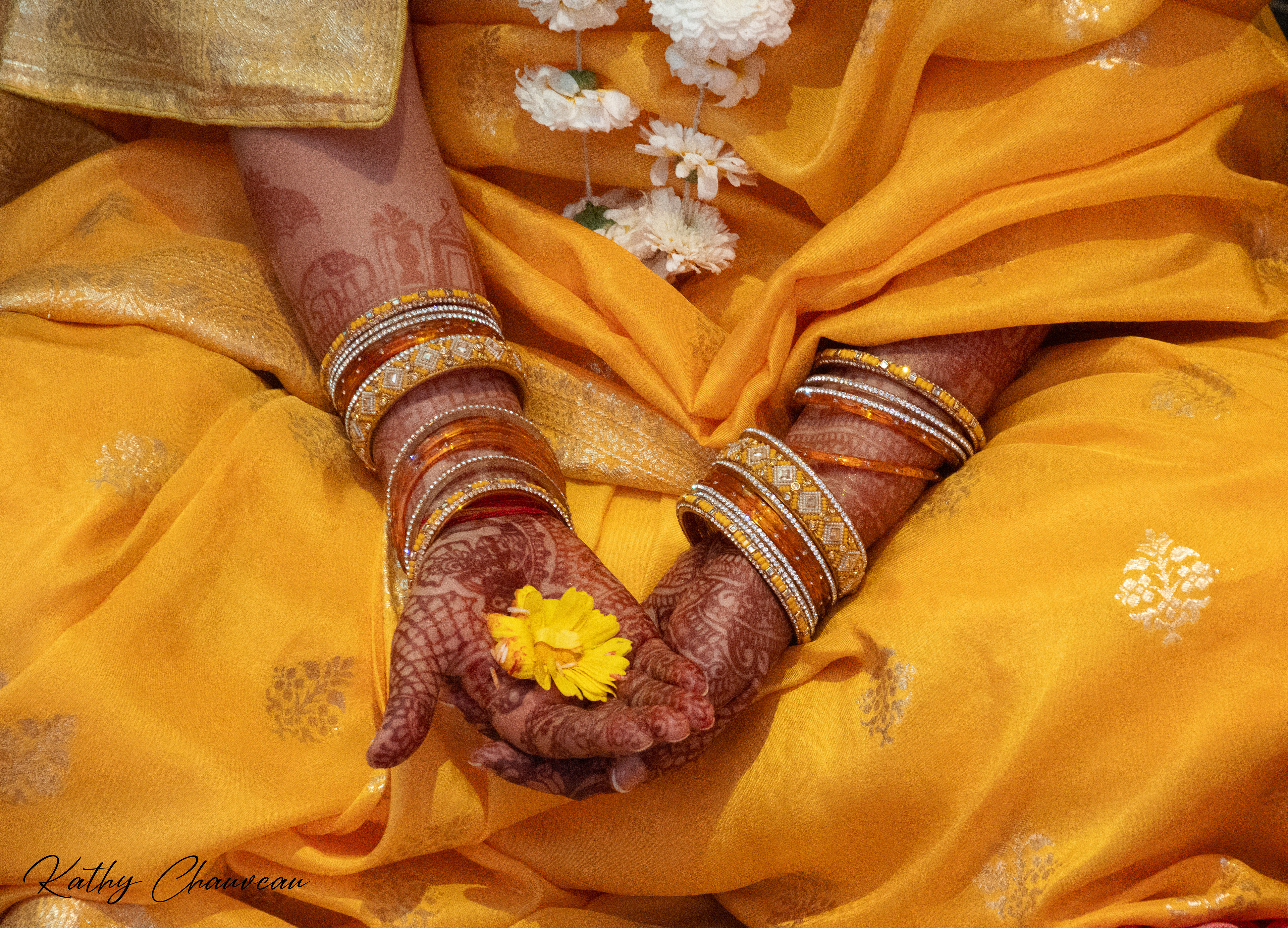 2026 Udaipur (Inde) - Mains pieds au Héné (Expo Hall St Bonnet Bourges)