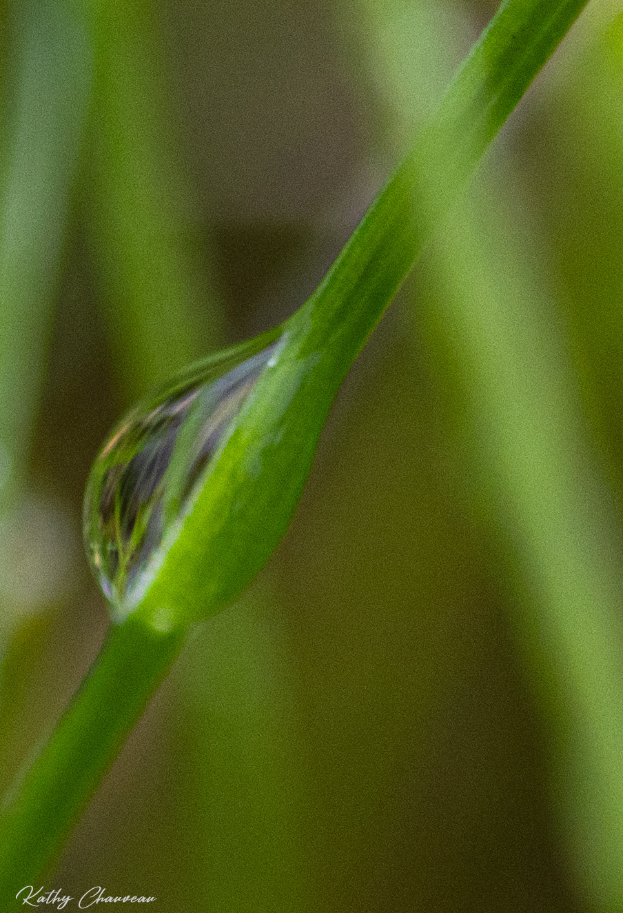 2024 05 Gouttes d'eau