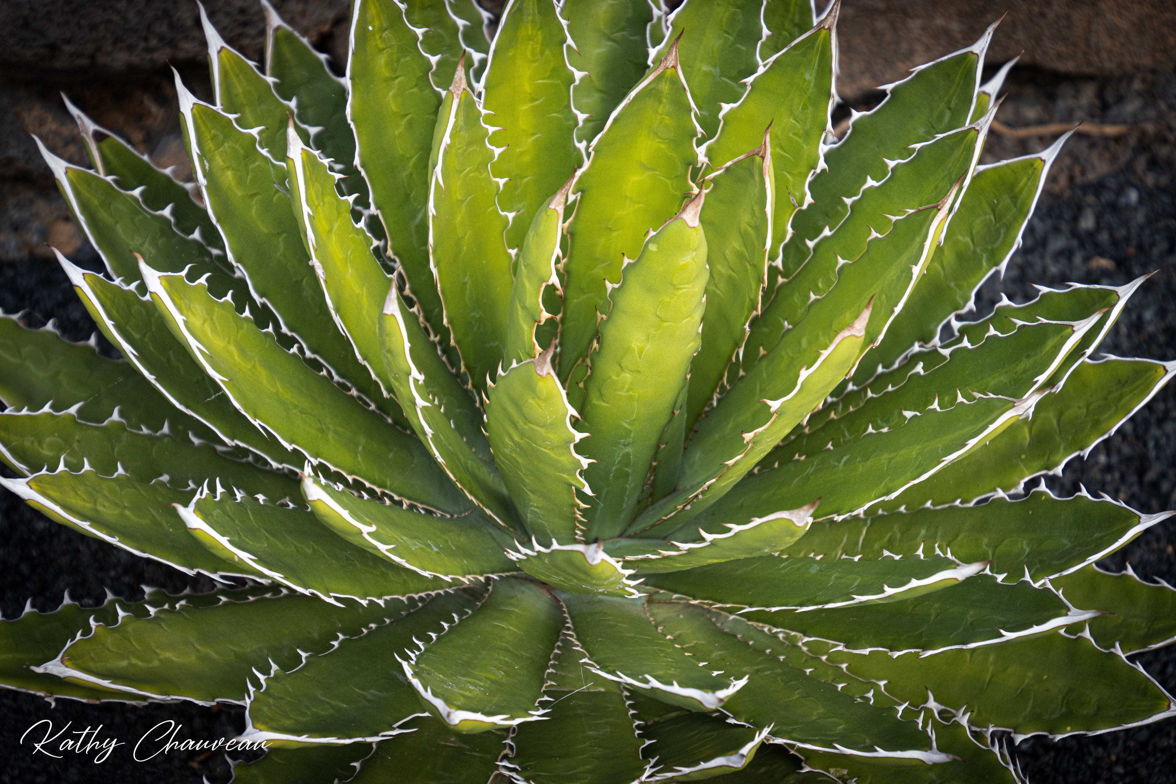 2022 Lanzarote
