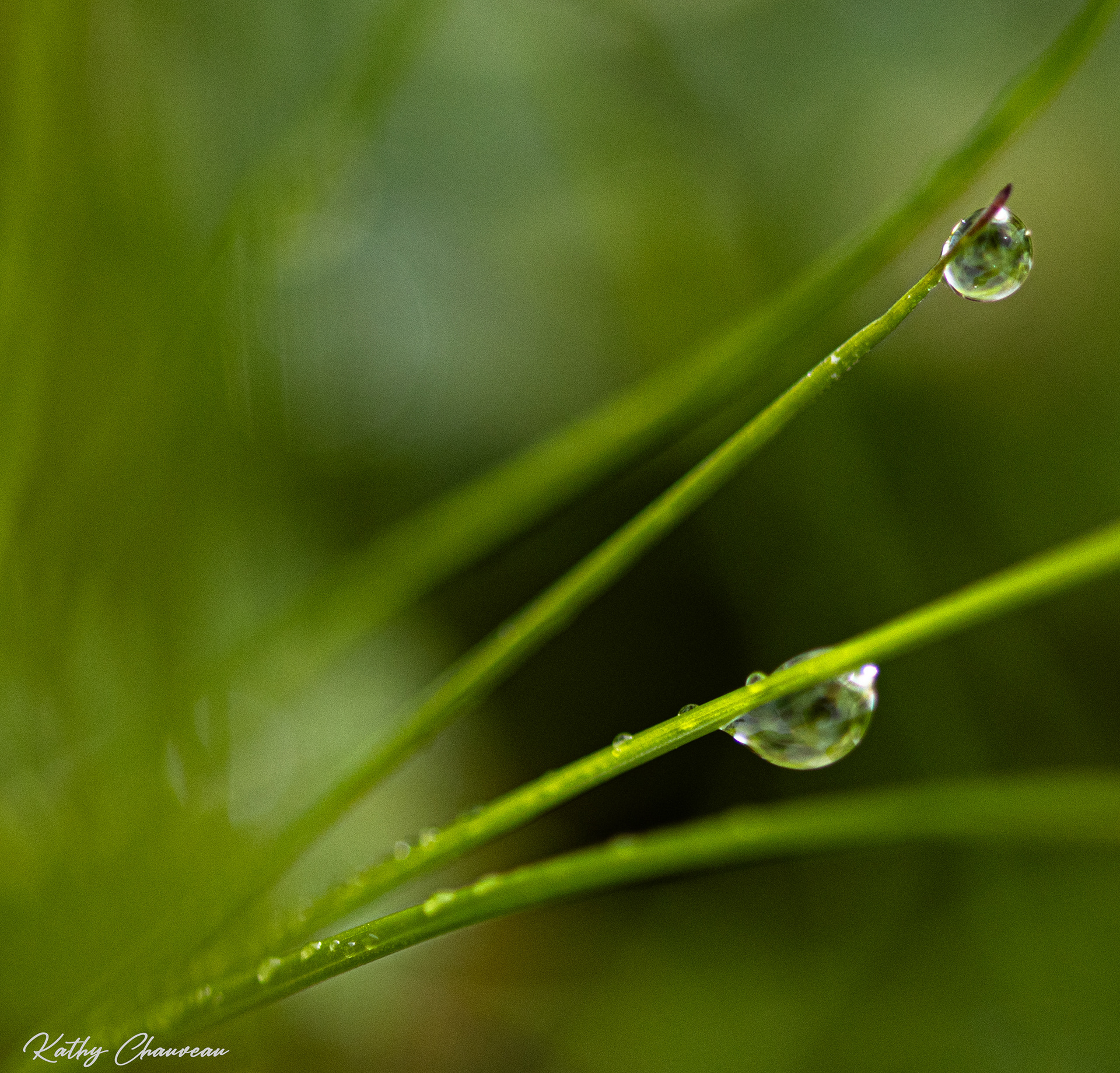 2024 05 Gouttes d'eau
