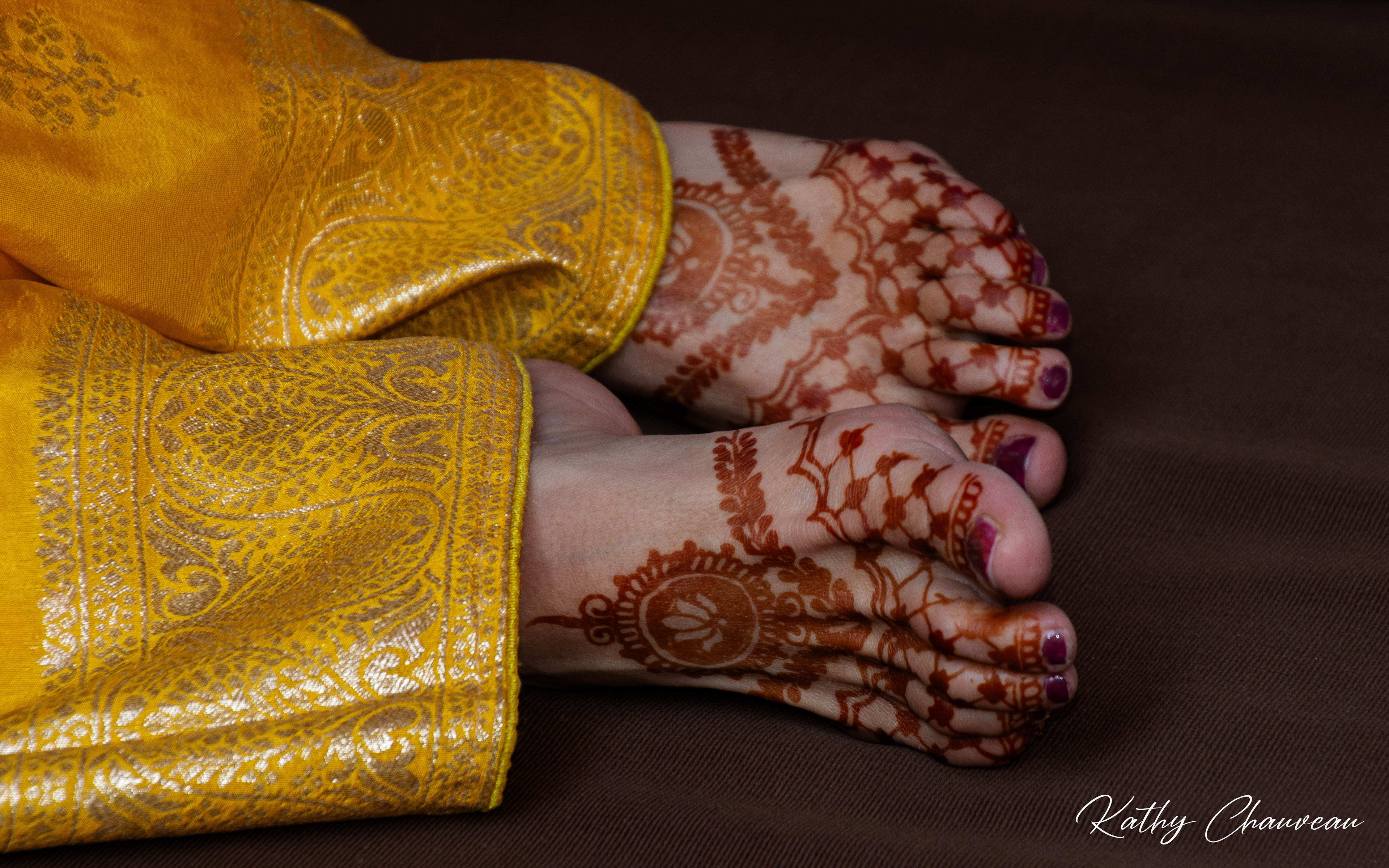 2026 Udaipur (Inde) - Mains pieds au Héné (Expo Hall St Bonnet Bourges)