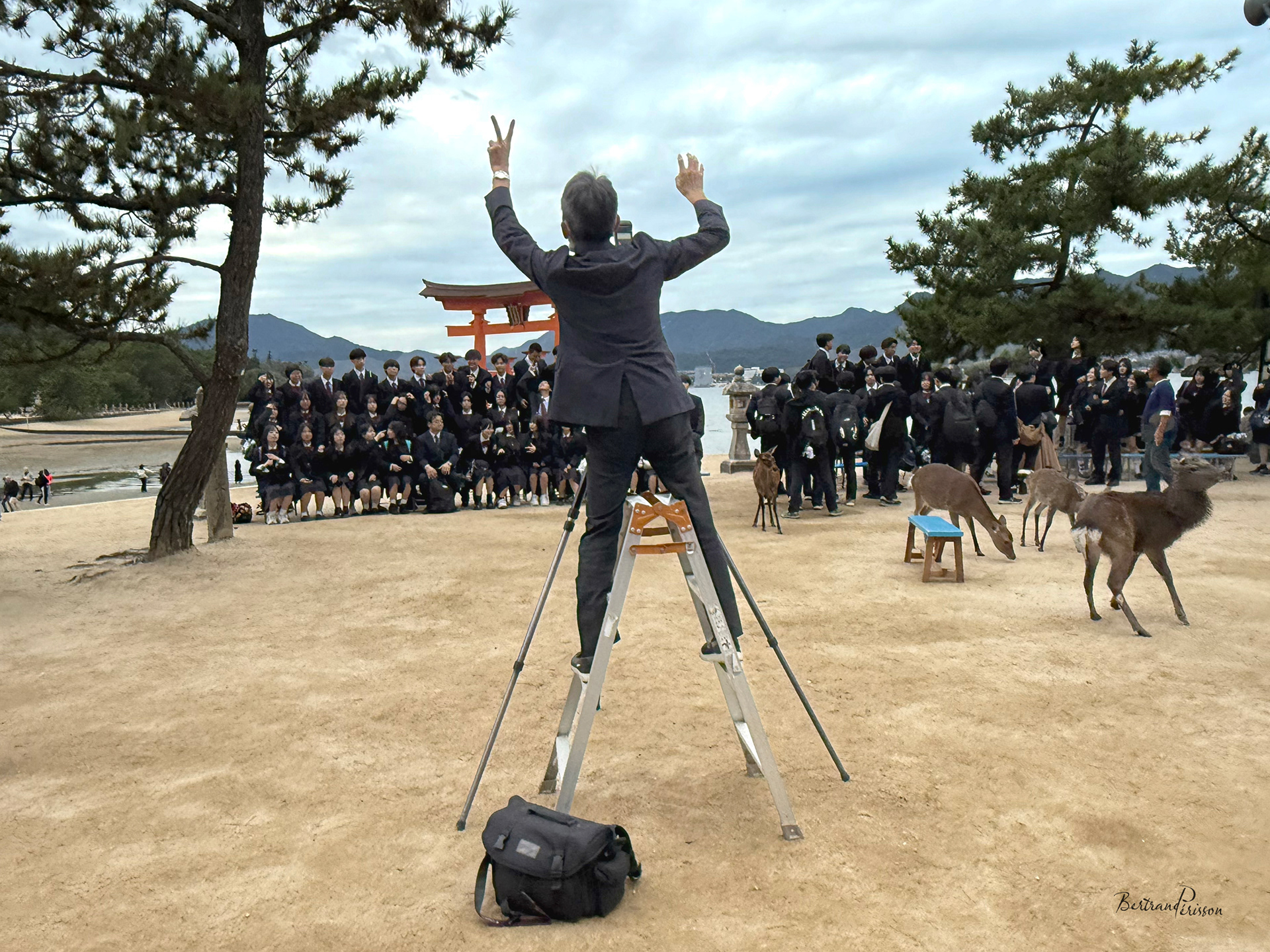 Japon 2025 - Île de Miya-jima - photo de classe