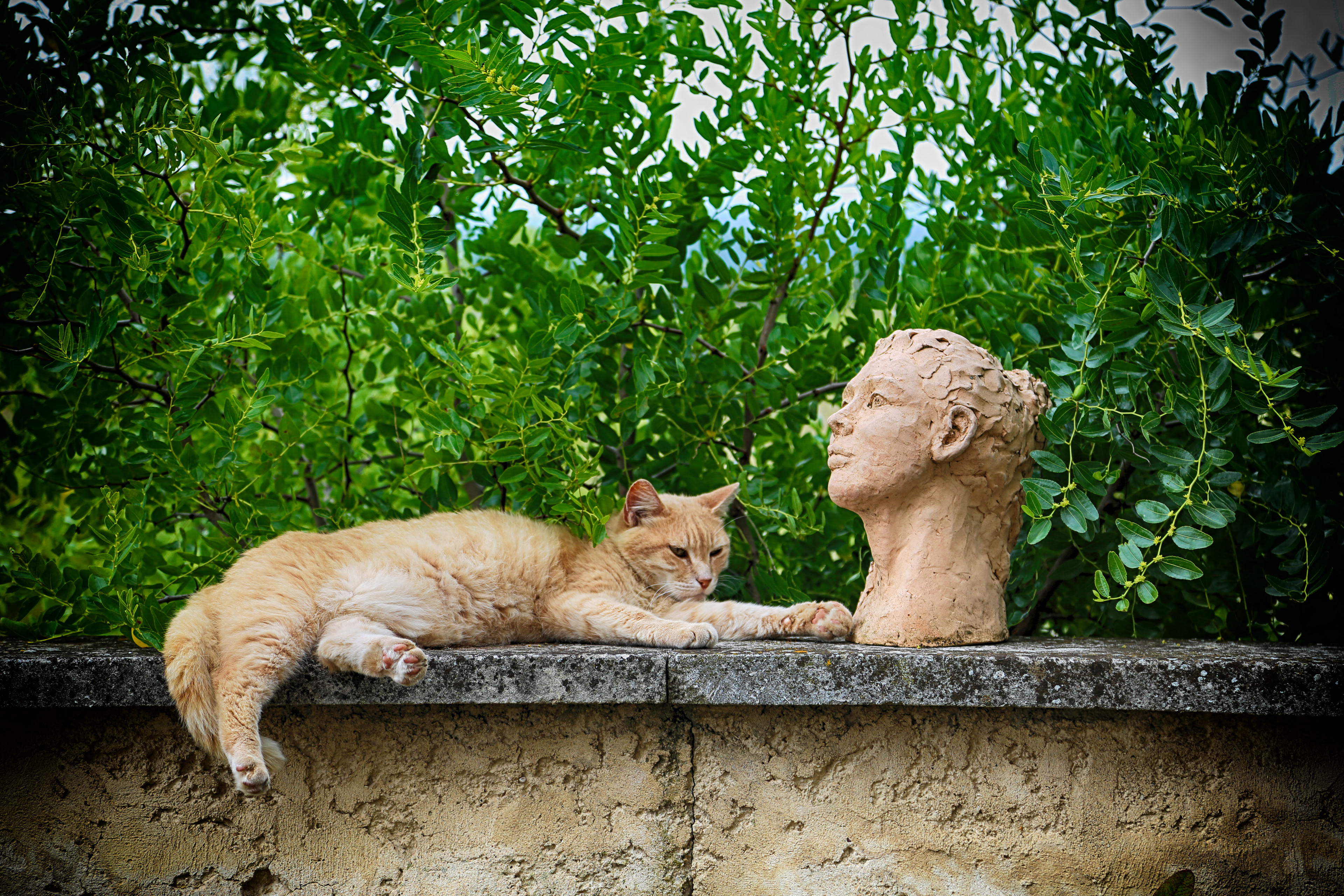 Foufette ou la reconnaissance 2014