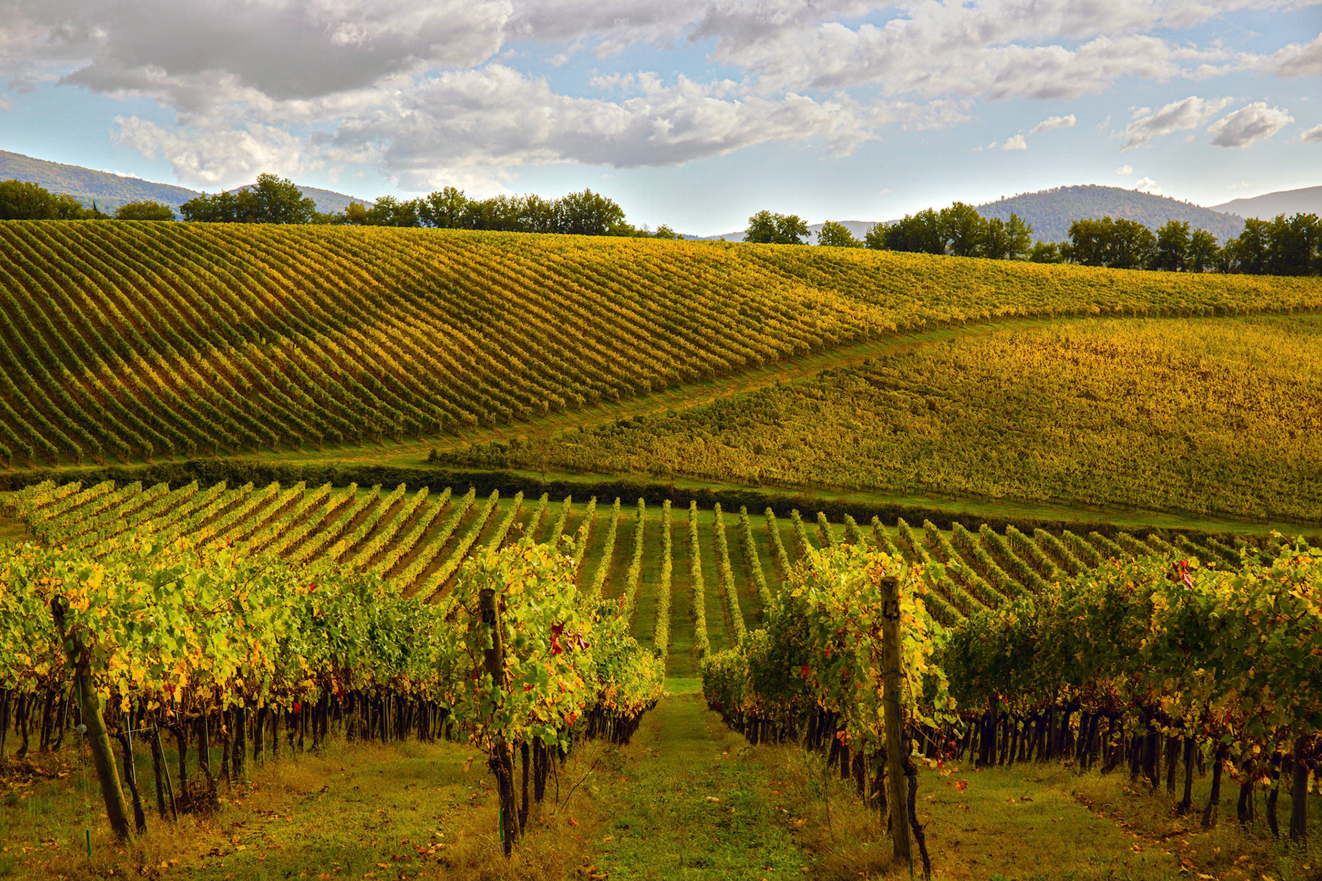 Italie - Toscane