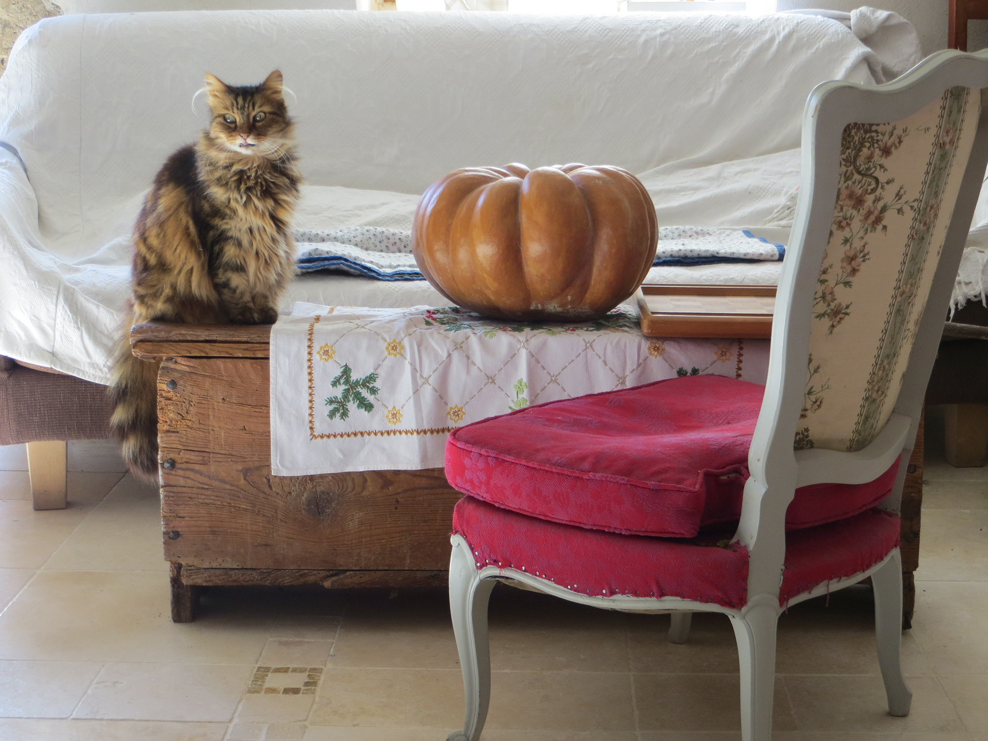 Le Chat de Celine 2013