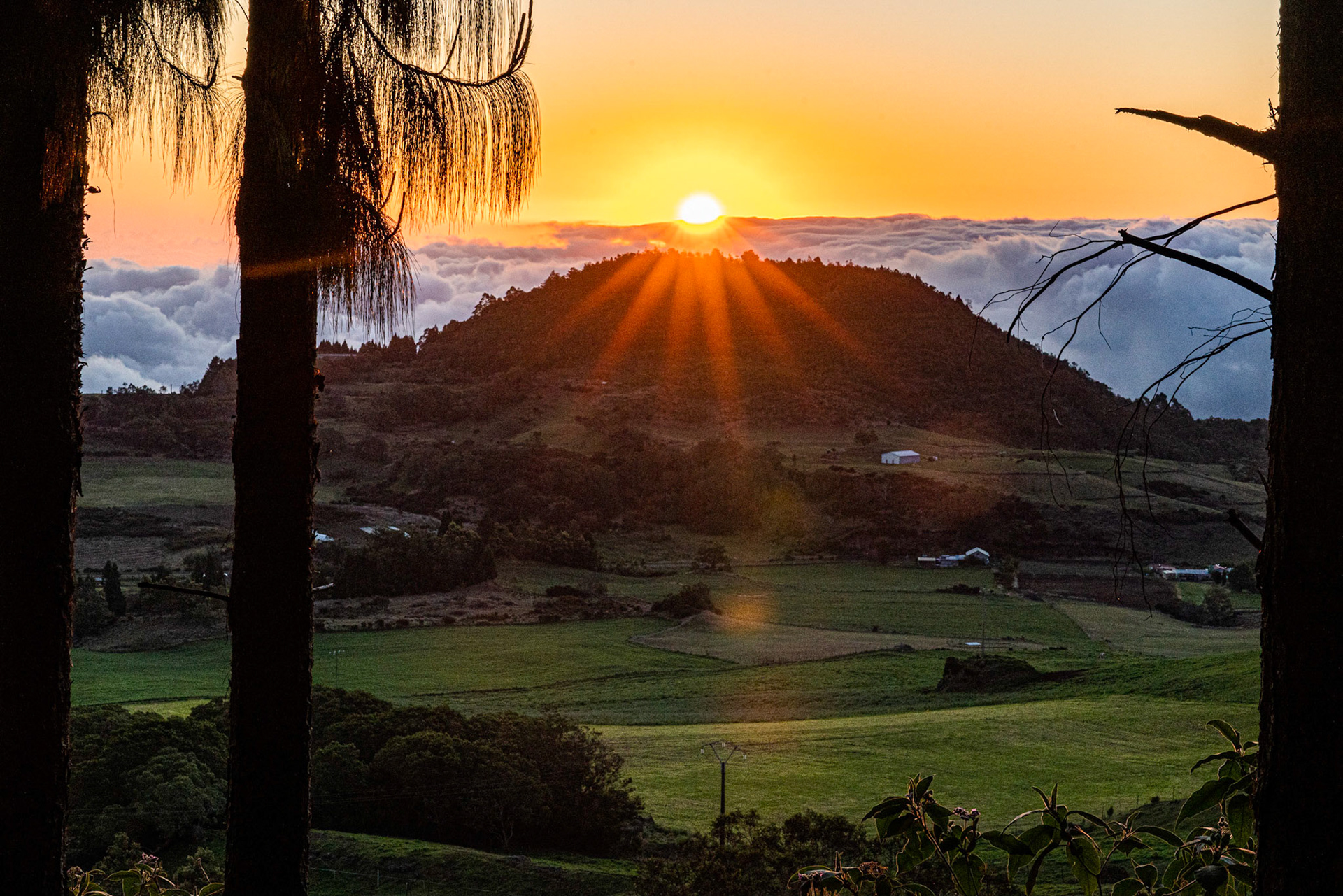 La Réunion - Plaine des Cafres - Route du volcan