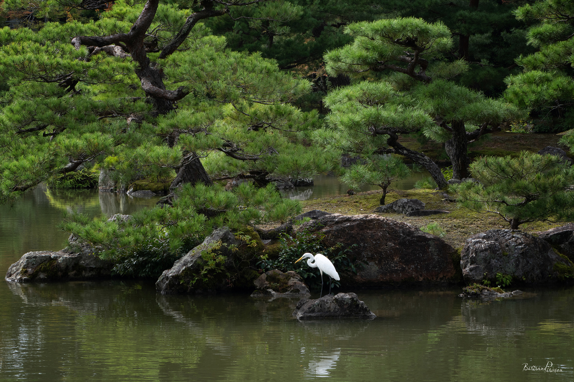 Japon - Pavillon d'or 2025
