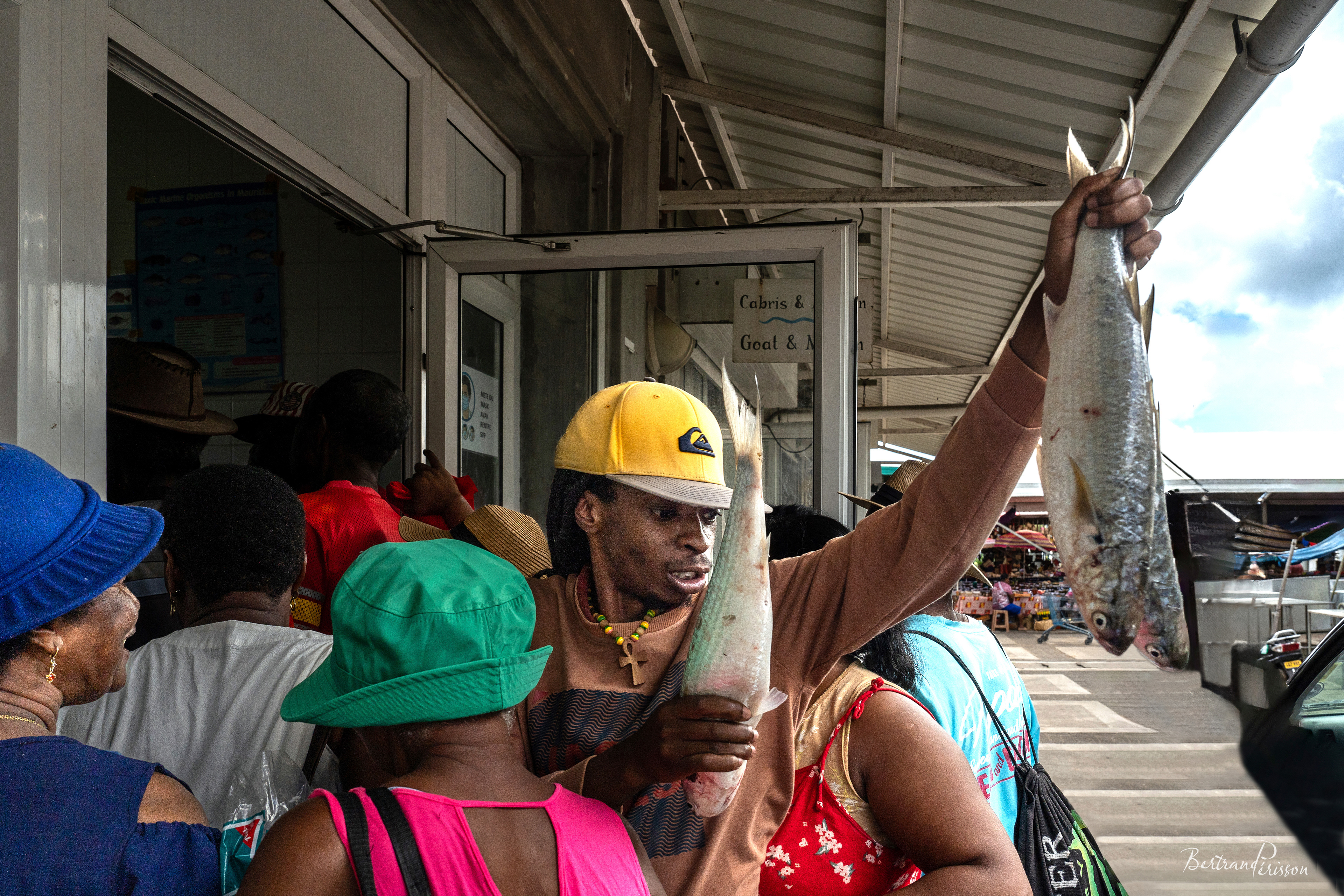 Rodrigues 2024 / Arrivage de poisson au marché de Port-Mathurin, la ruée