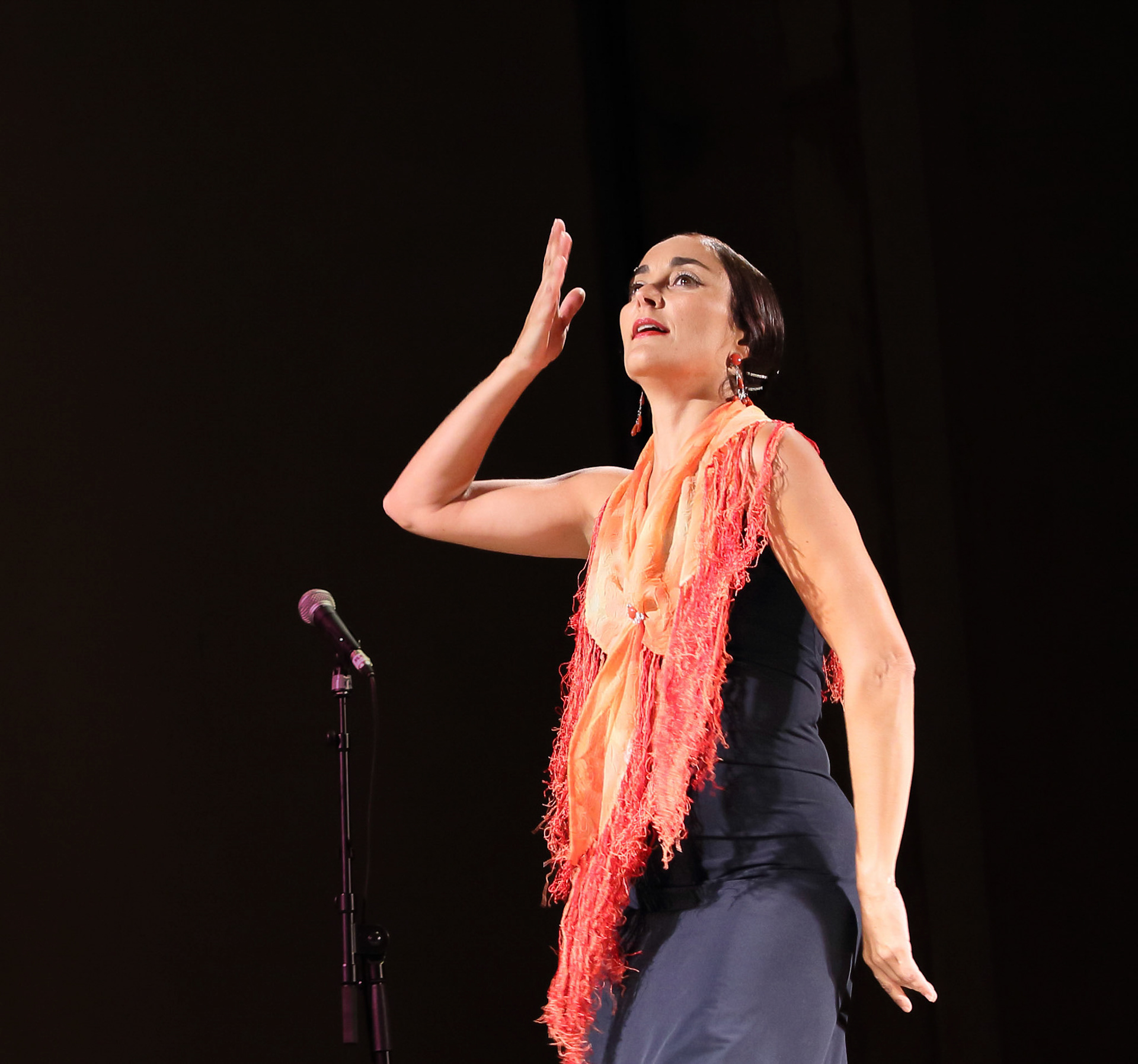 FDL - Sarah Moha 2014