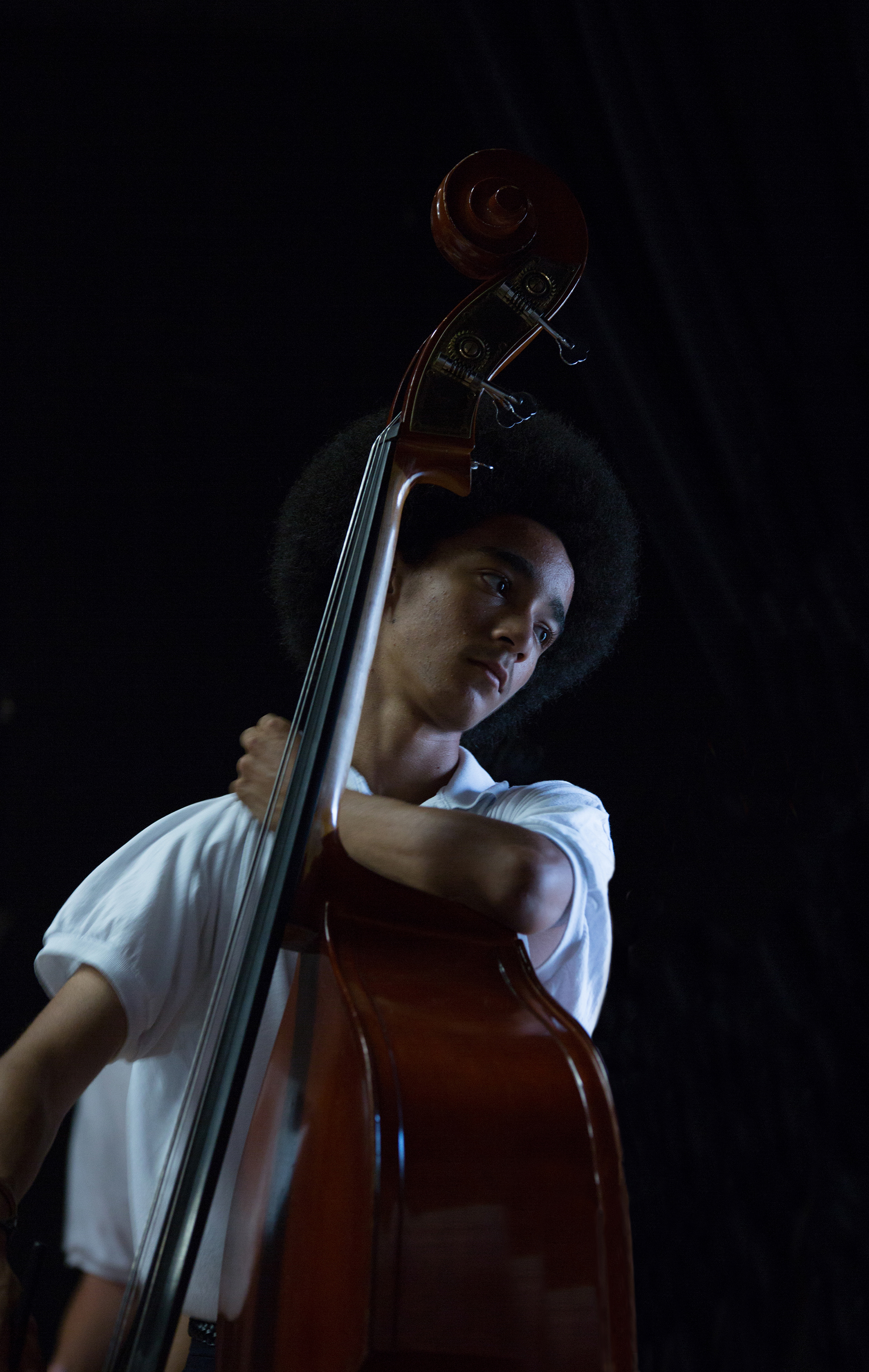 Contrebassiste du Blue Lake fine Arts orchestra, Michigan Cadenet 2016 Concert Glinka, Gershwin, Dvorák