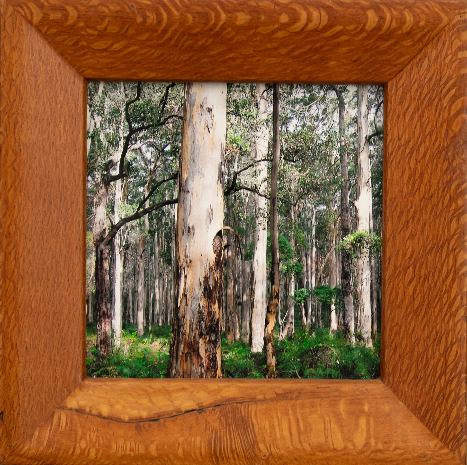 25. SPIRIT OF BORANUP, Photograph