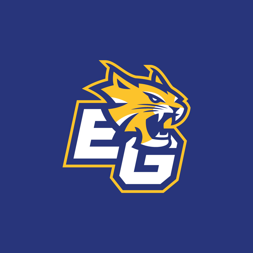 Wildcat mascot logo paired with bold lettering for a dynamic team emblem