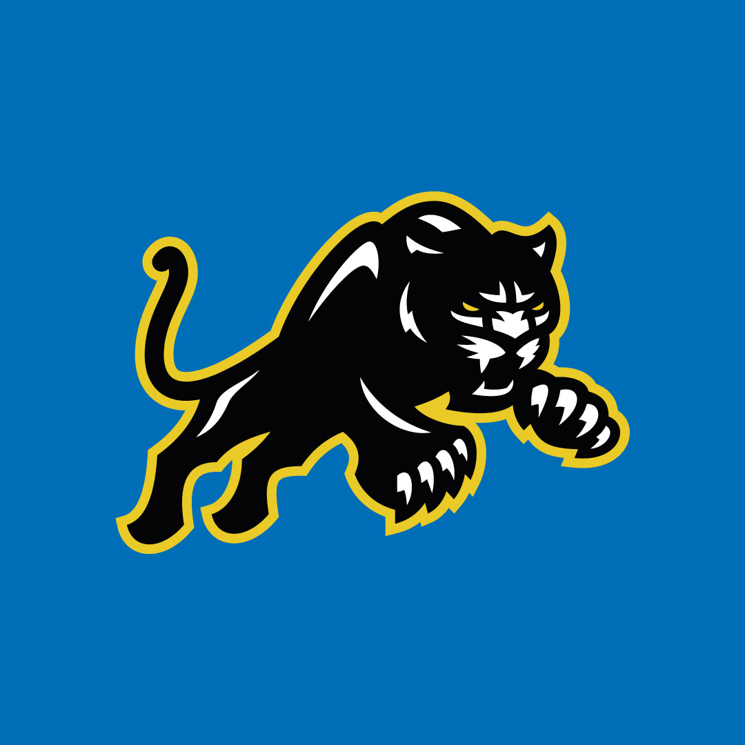 Panther mascot logo symbolizing power and speed in sports identity design