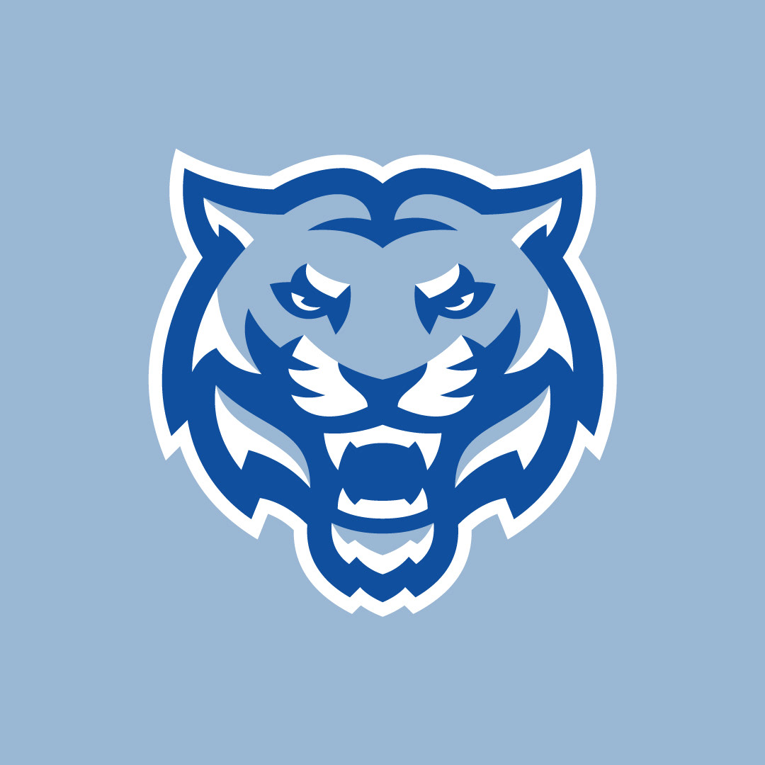 Tiger head logo — fierce sports identity representing strength, focus, and energy
