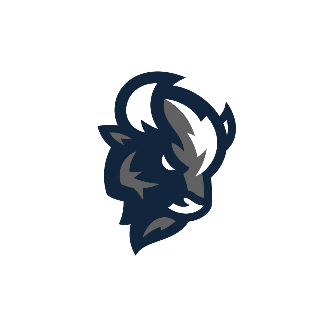 Bison head mascot logo — strong and iconic mark for sports identity design