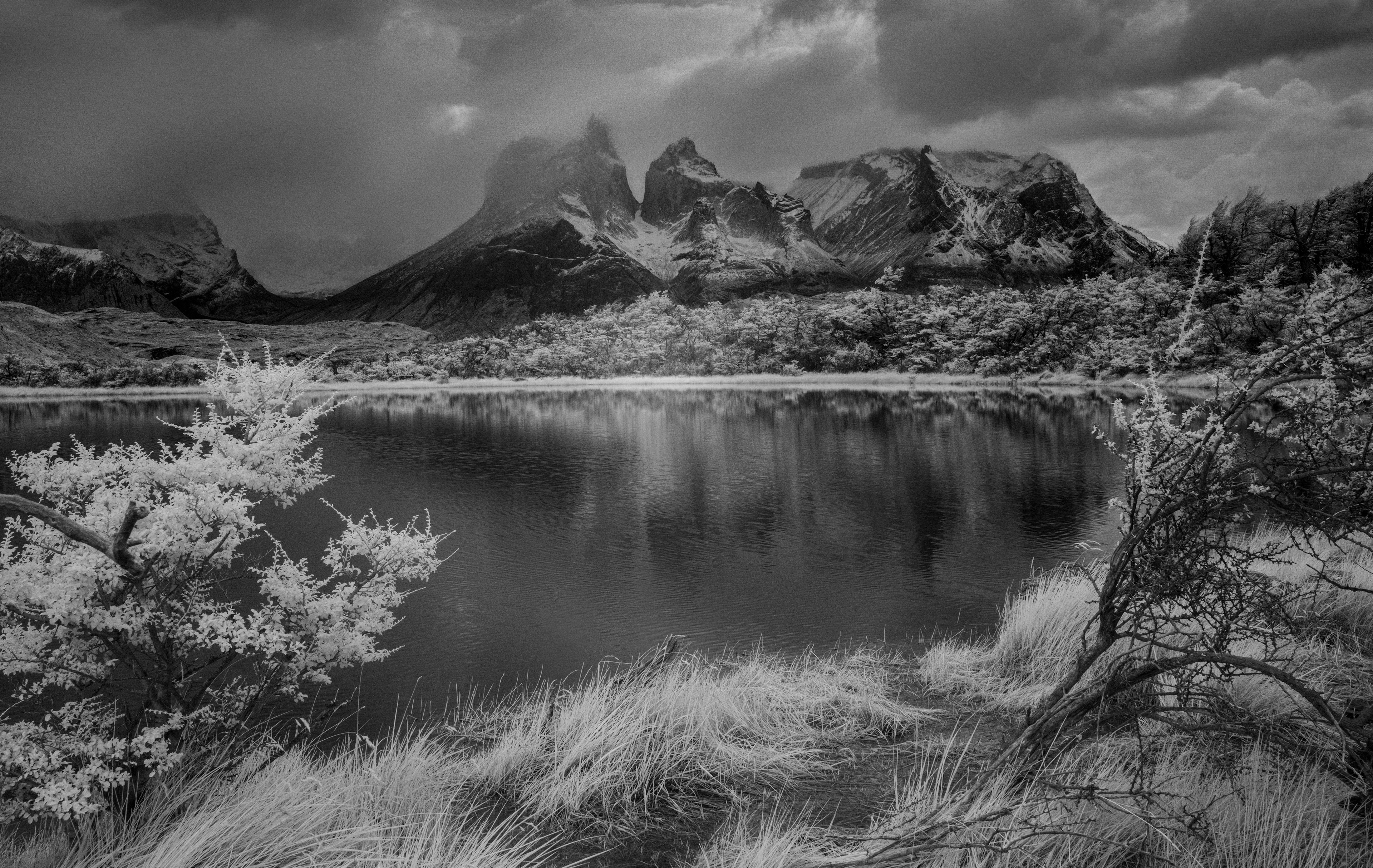 Patagonia