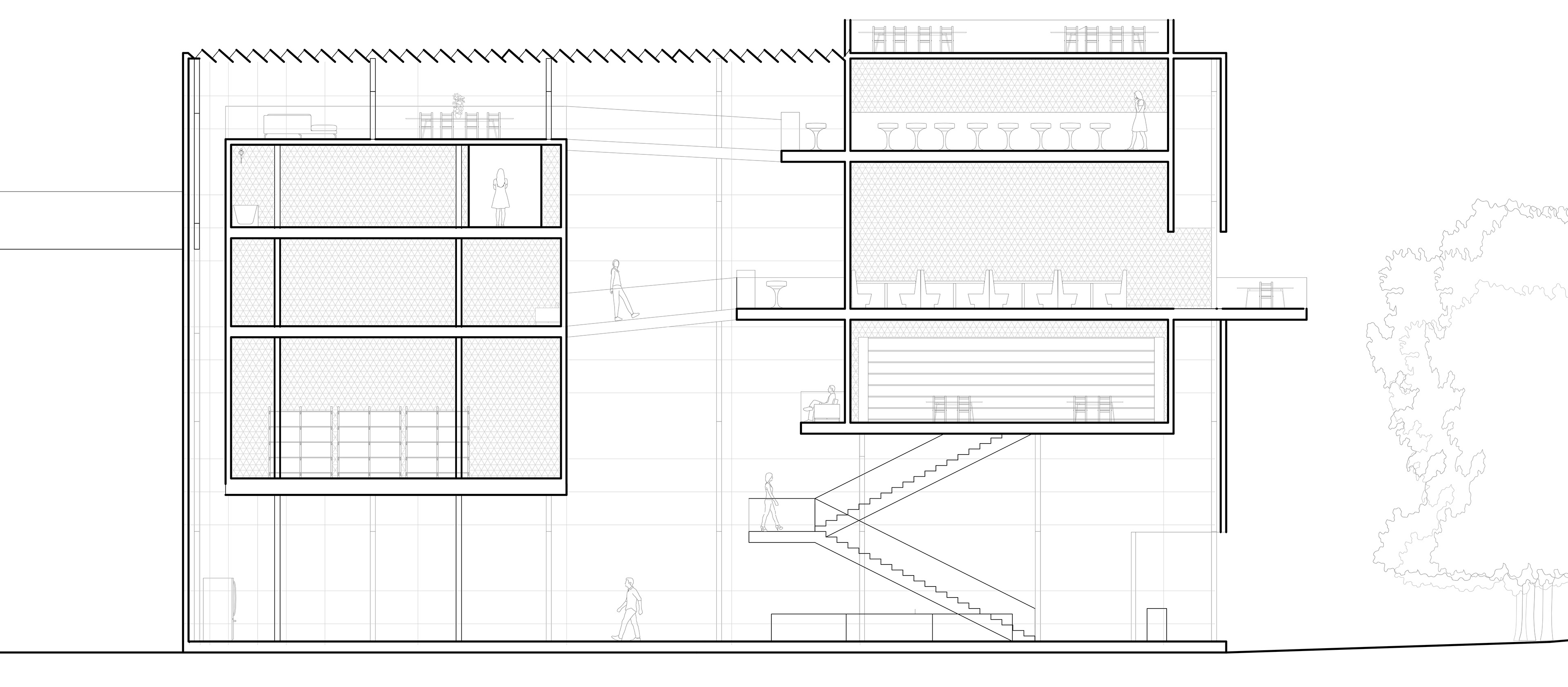 Longitudinal Building Cross Section