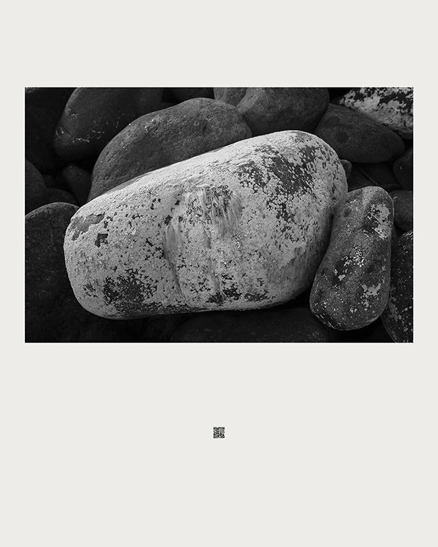 The First Nature_glassland_고감사용, 80(w) x 100(h)cm, Print on Fine Art Paper