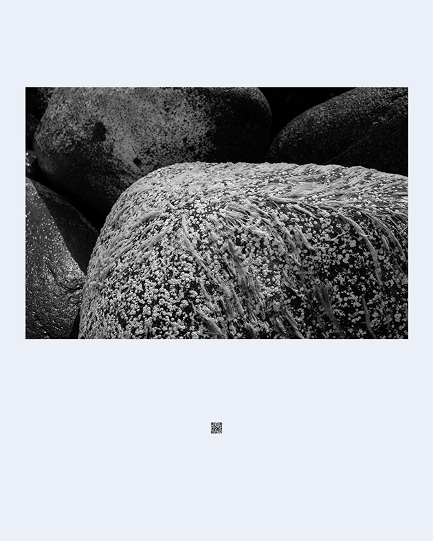 The First Nature_glassland_만남, 80(w) x 100(h)cm, Print on Fine Art Paper