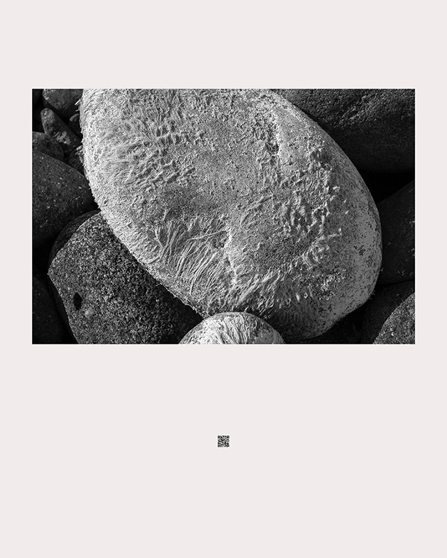 The First Nature_glassland_물질, 80(w) x 100(h)cm, Print on Fine Art Paper